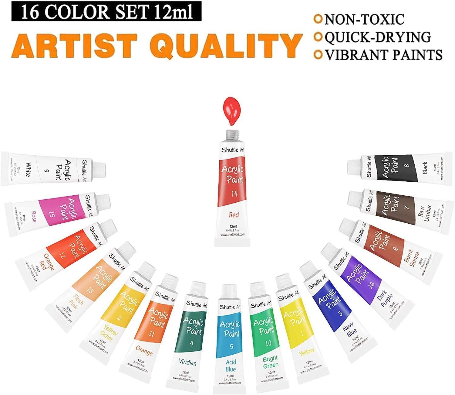 Shuttle Art Acrylic Paint Set 16 x12ml Tubes Artist Quality Non Toxic Rich  Pigments Colors Great for Kids Adults Professional Painting on Canvas Wood  Clay Fabric Ceramic Crafts 16 Colors With 3 Brushes