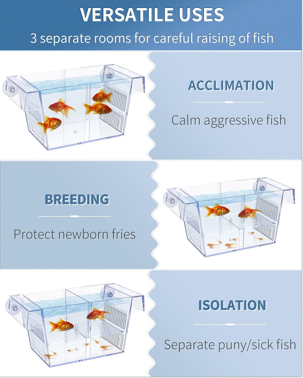 Pawfly Fish Breeding Box Tank Ideal Hatchery Incubator Aquarium
