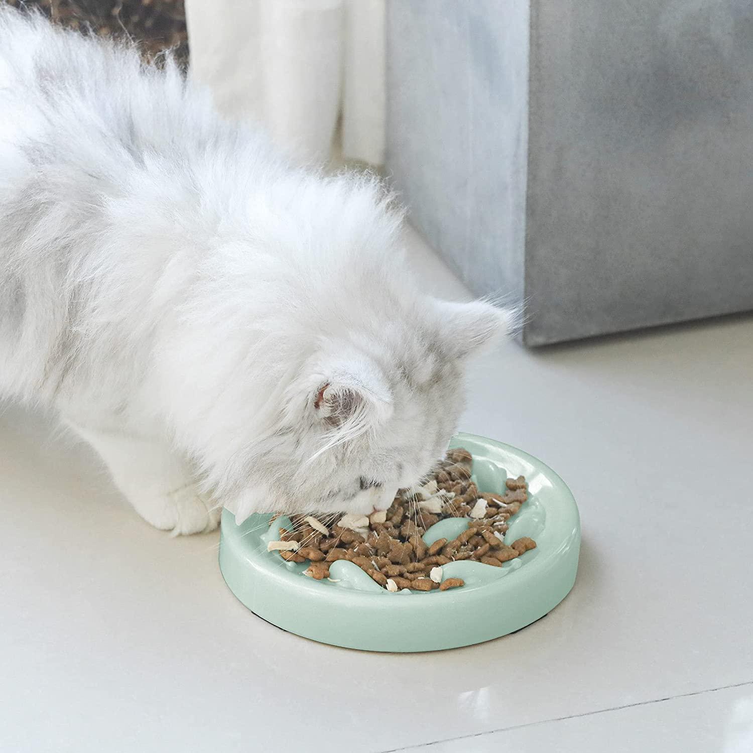 thumbnail image 2 of Slow Feeder Bowl For Cats And Small Dogs, Cilkus Fish Pool Design, Fun Interactive Bloat Stop Puzzle Feeder Bowl Healthy Eating Diet Made Of Melamine Food Grade Material 2 of 11