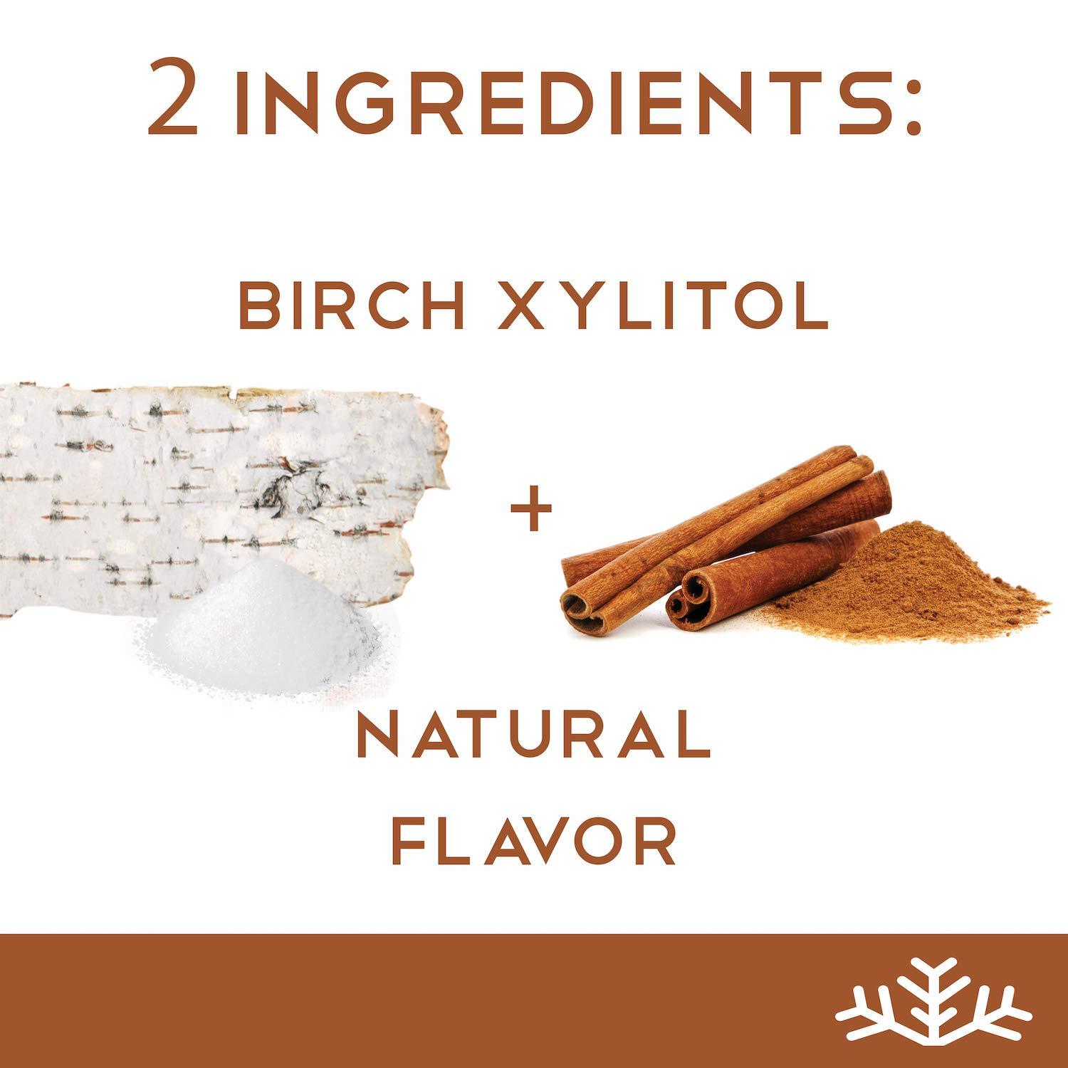 Cinnamon KETO Xylitol Candy Chips (3Pack) SN 1.5oz Tin SugarFree