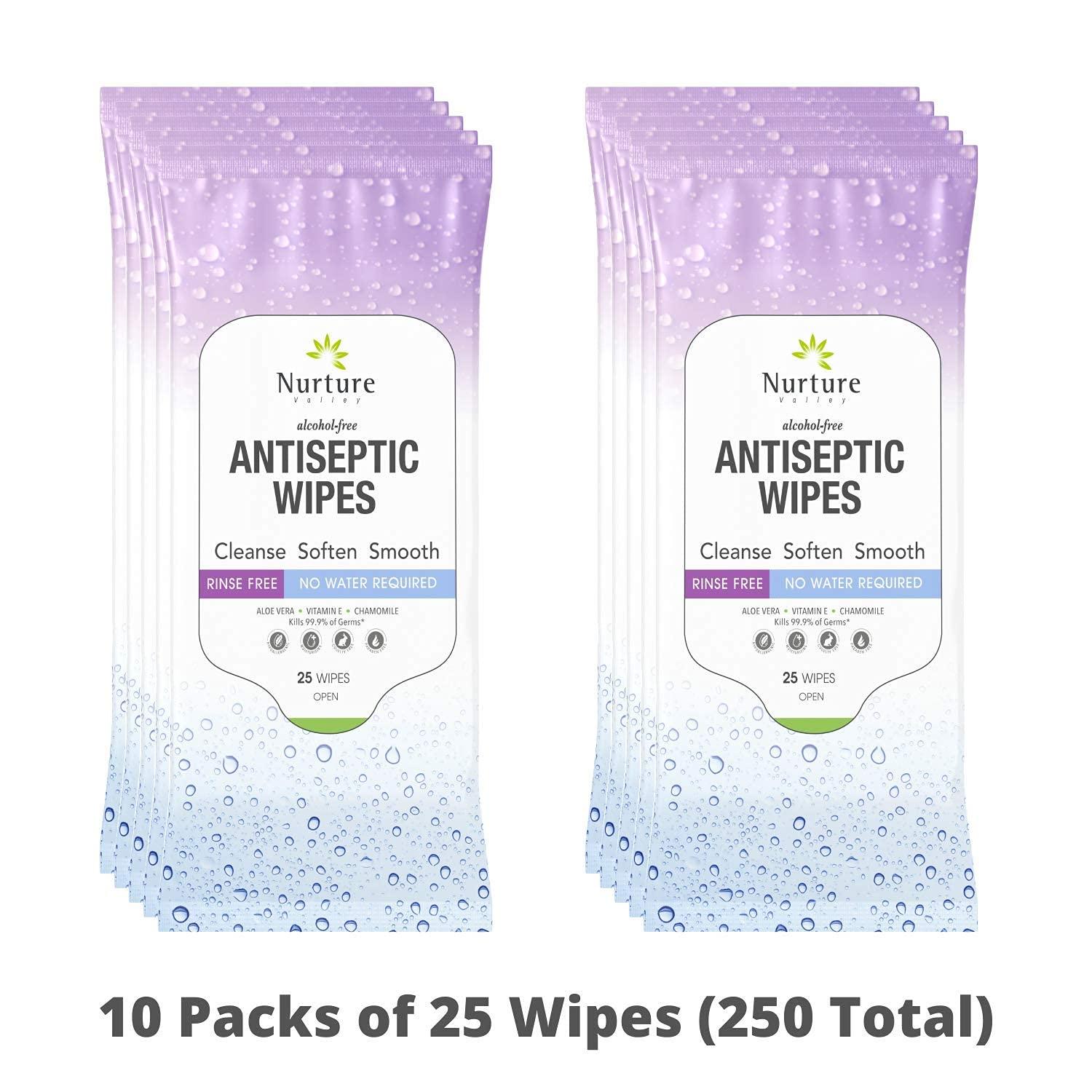 Antibacterial Hand & Body Sanitizing Bathing Wipes (10 Pack) 250