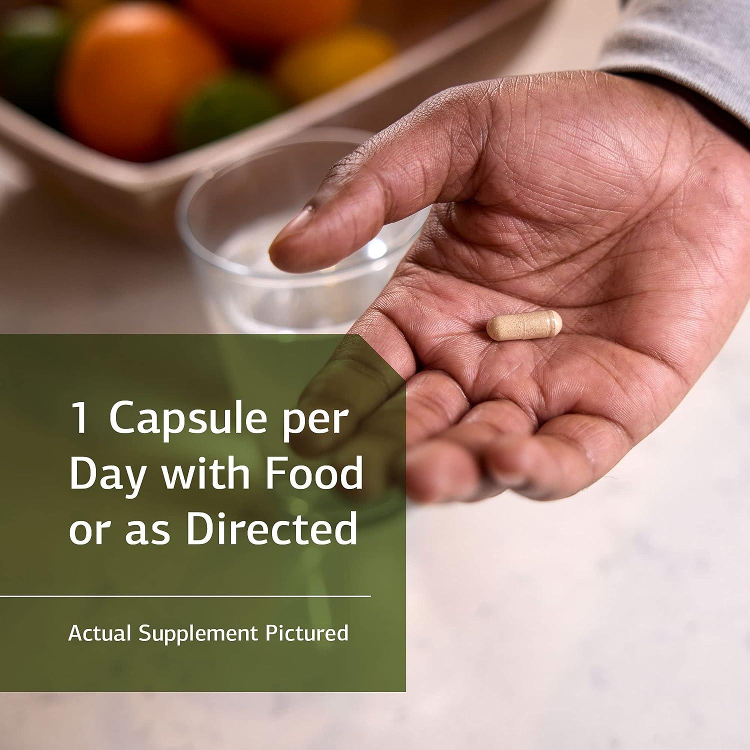 Standard Process Ferrofood Whole Food Antioxidant Healthy Blood and