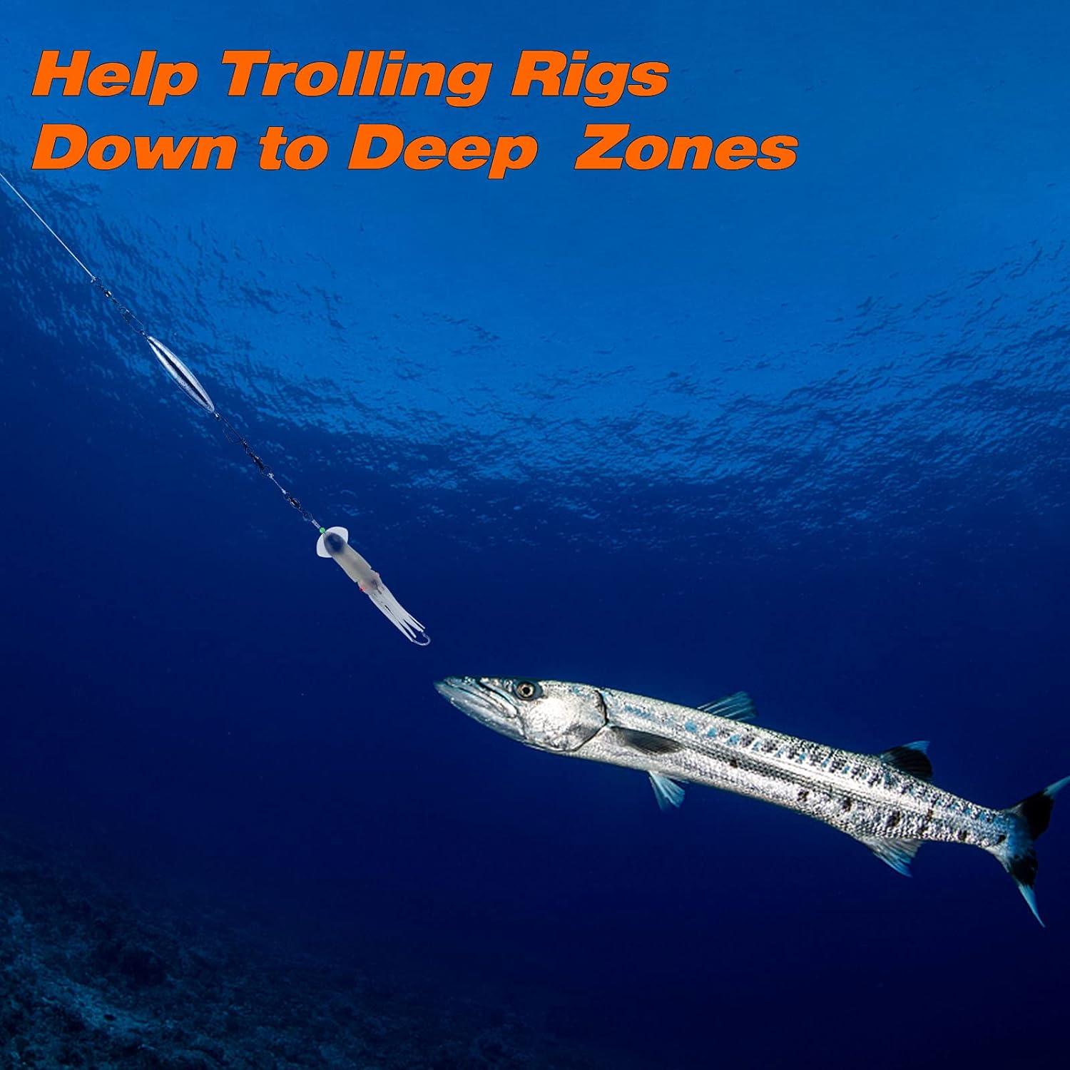 Dr.Fish 5 Pack Trolling Sinker Fishing Sinker Torpedo Lead Double Ring  Inline Lead Fishing Weight 1oz-8oz 5pcs Bottom Fishing Fresh Water 2oz-5  Pack