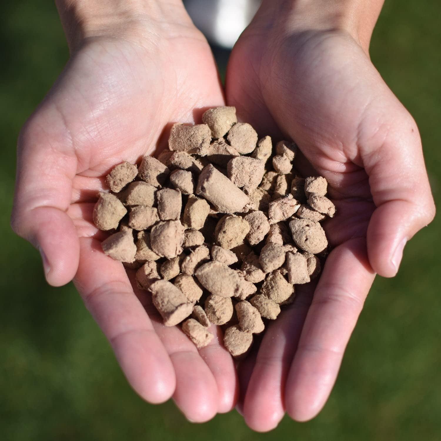 Steve's Real Food Quest Super Premium Freeze Dried Raw Cat Food, 10 Ounce