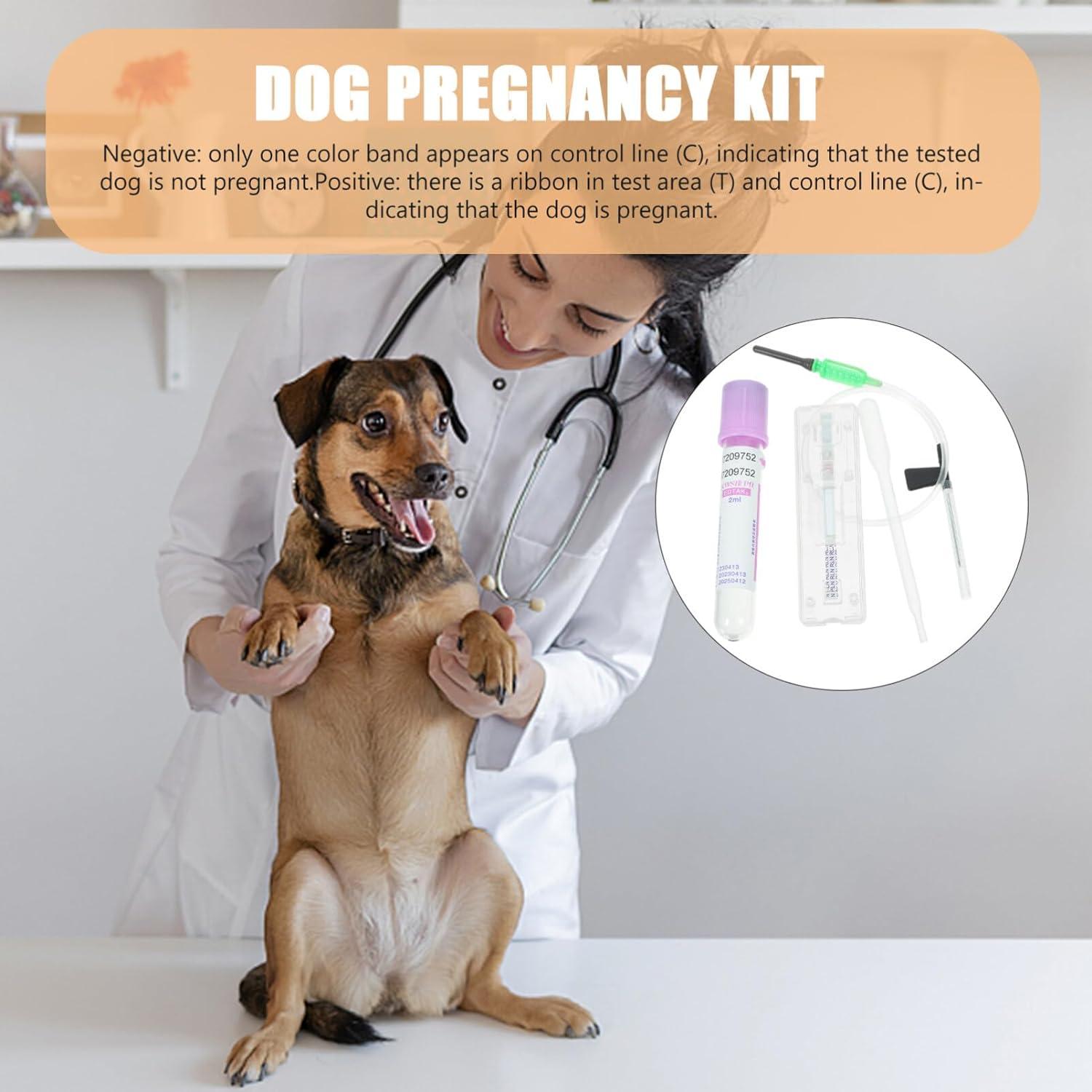 Ovulation And Pregnancy Test Strips Canine Ovulation Pregnancy