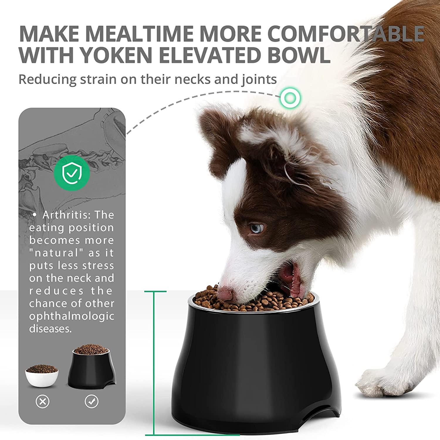 yoken Sturdy Elevated Dog Bowls, Prevention of Vertebrae Disease 2X Non