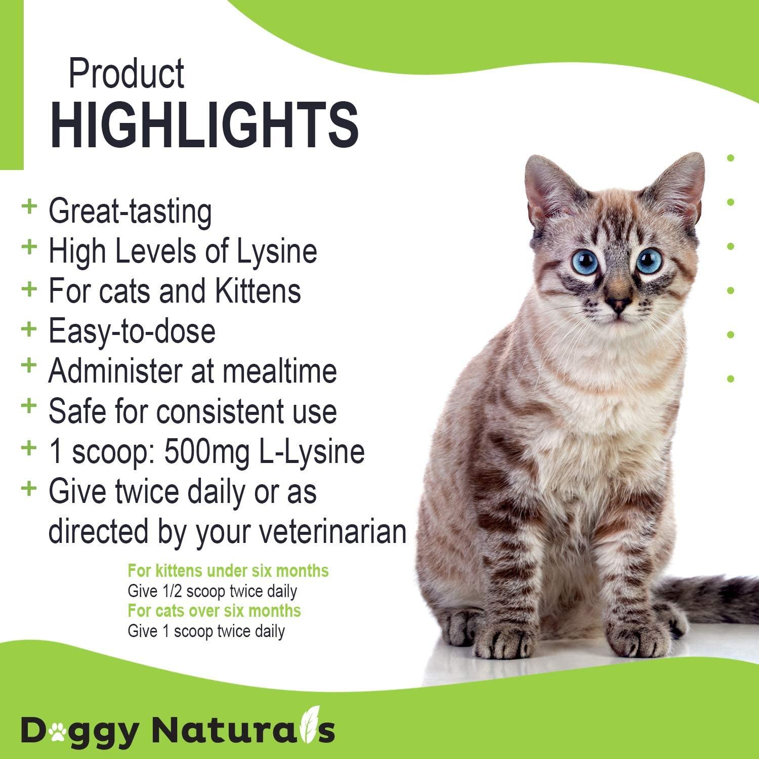 Trulysine Plus LLysine for Cats Immune Support Oral Powder Cats