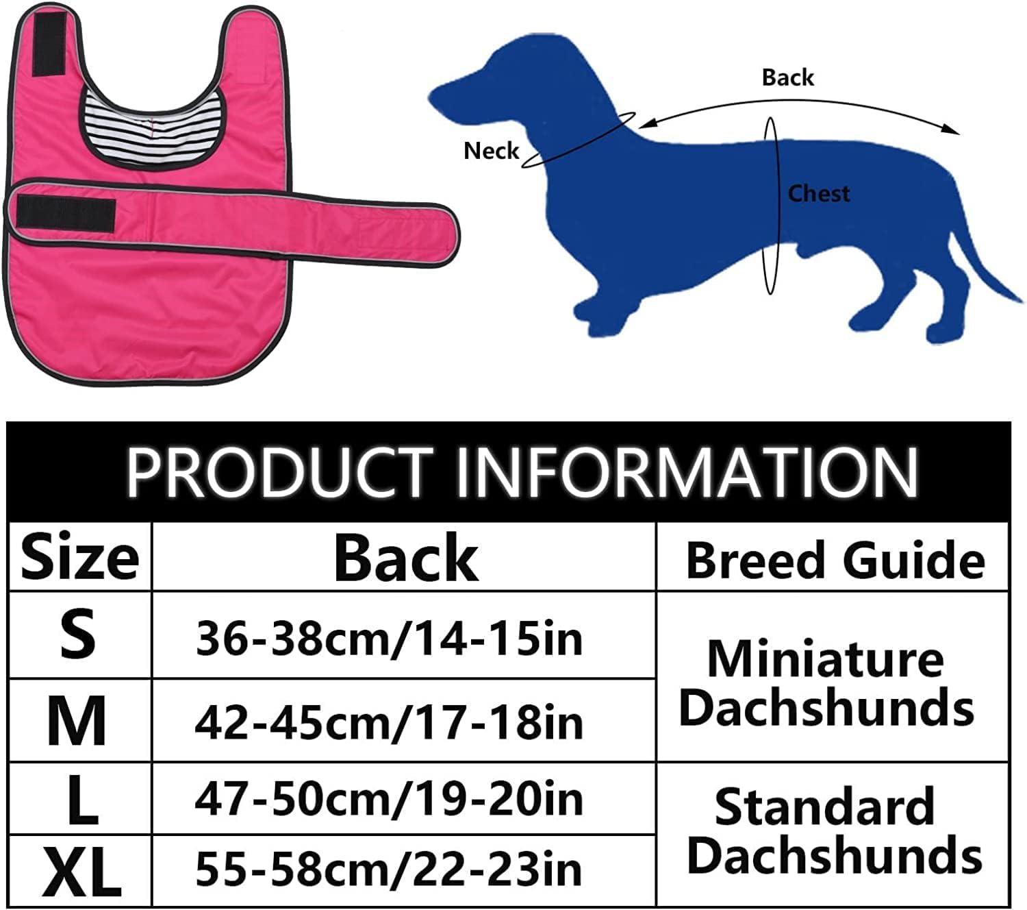 Dachshund gear outlet