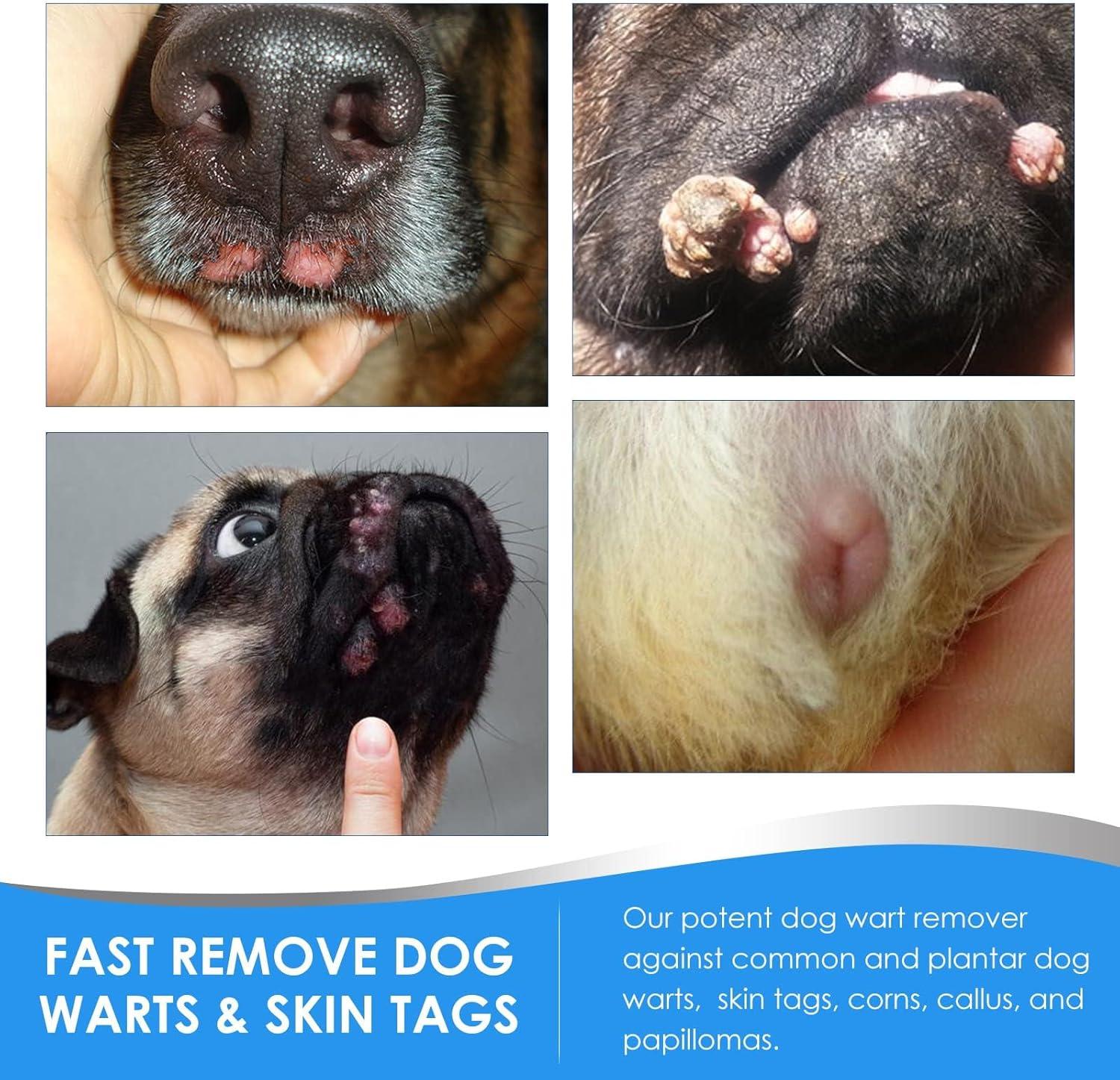 Balic Wart Removal Treatment for Dogs Effective Easy Solution