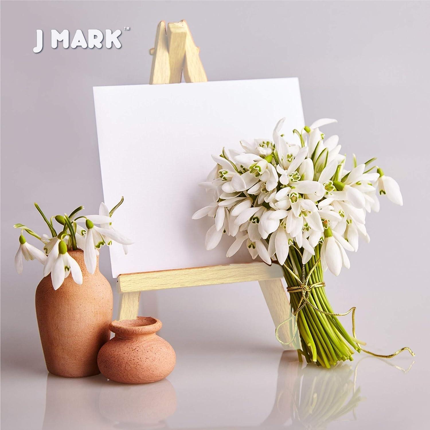  J MARK Painting Kit Includes Acrylic Paint Set, 8 x 10 in.  Canvases, Brushes, Palette and More