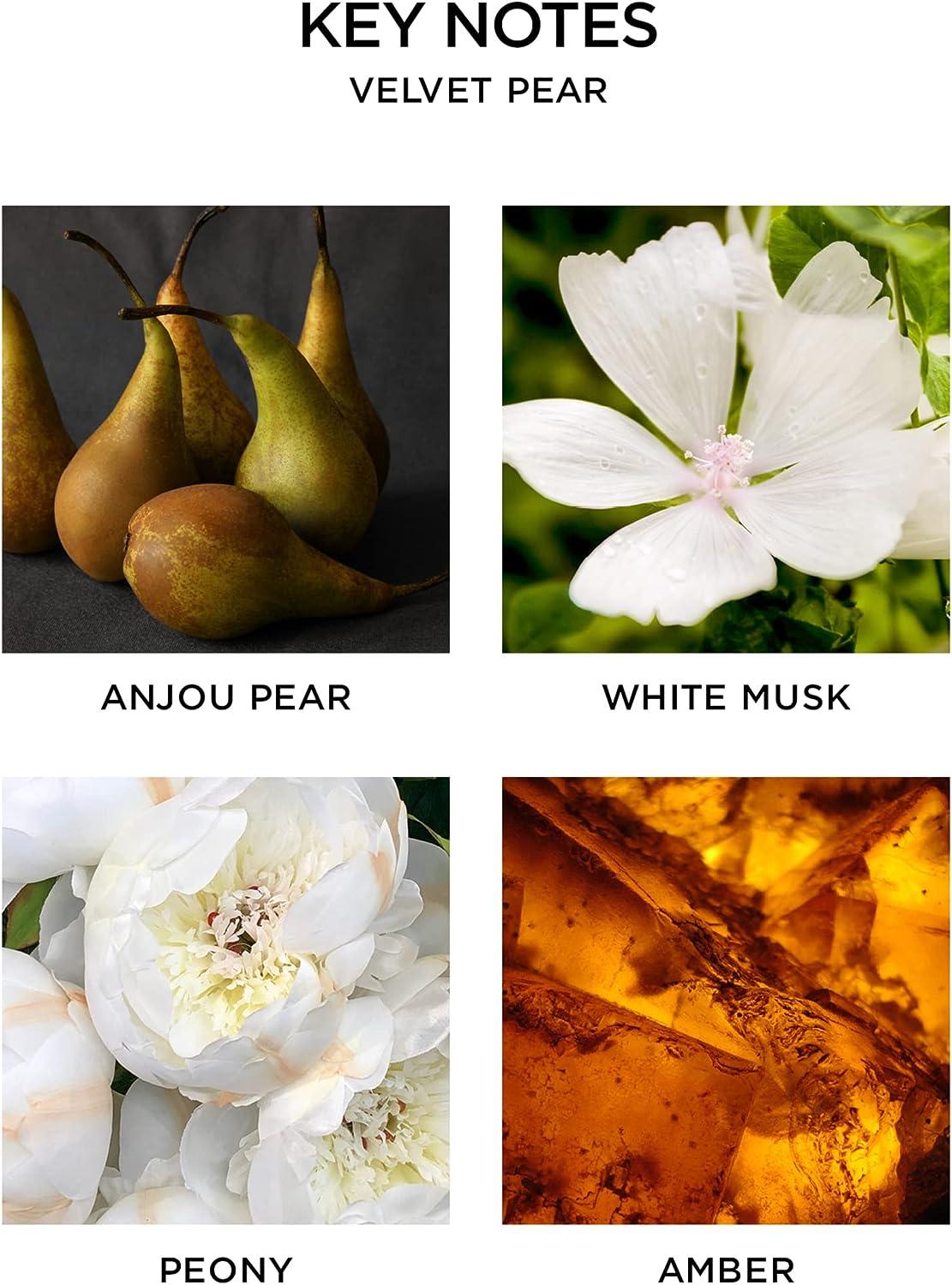 NEST Fragrances Velvet Pear Liquid Hand Soap 10 Fl Oz