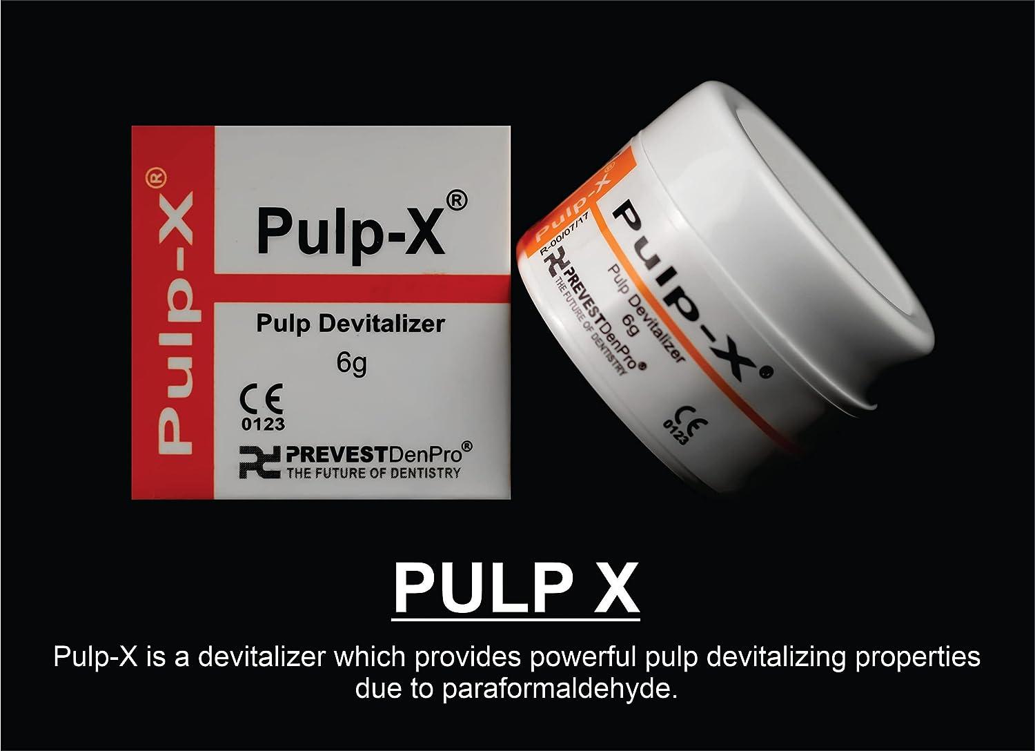 Prevest Denpro Pulp X 6g, Dental Products