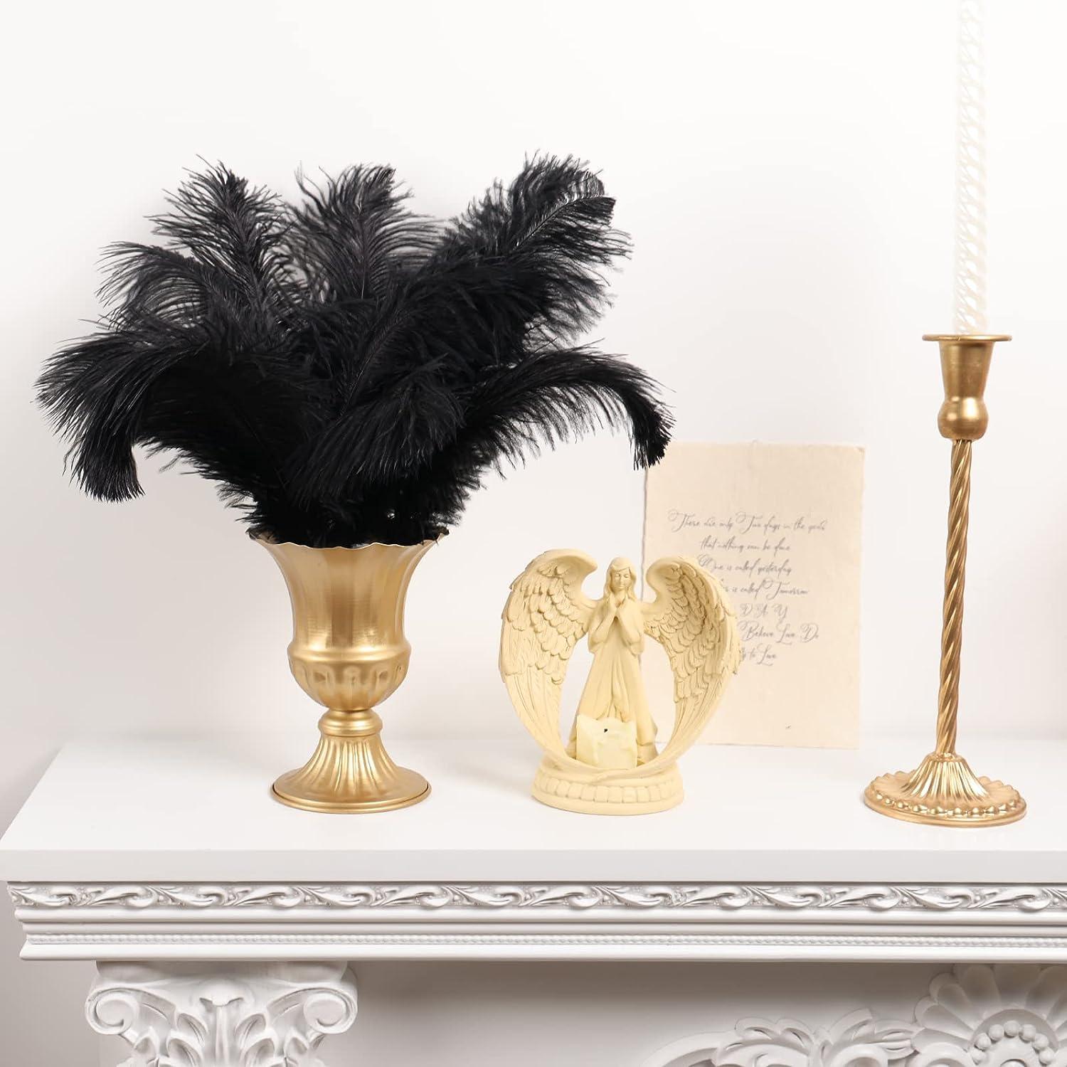 Larryhot Black Ostrich Feathers Bulk - 16-18 inch 10pcs Feathers for  Vase,Wedding Party Centerpieces and Home Decorations (Black)