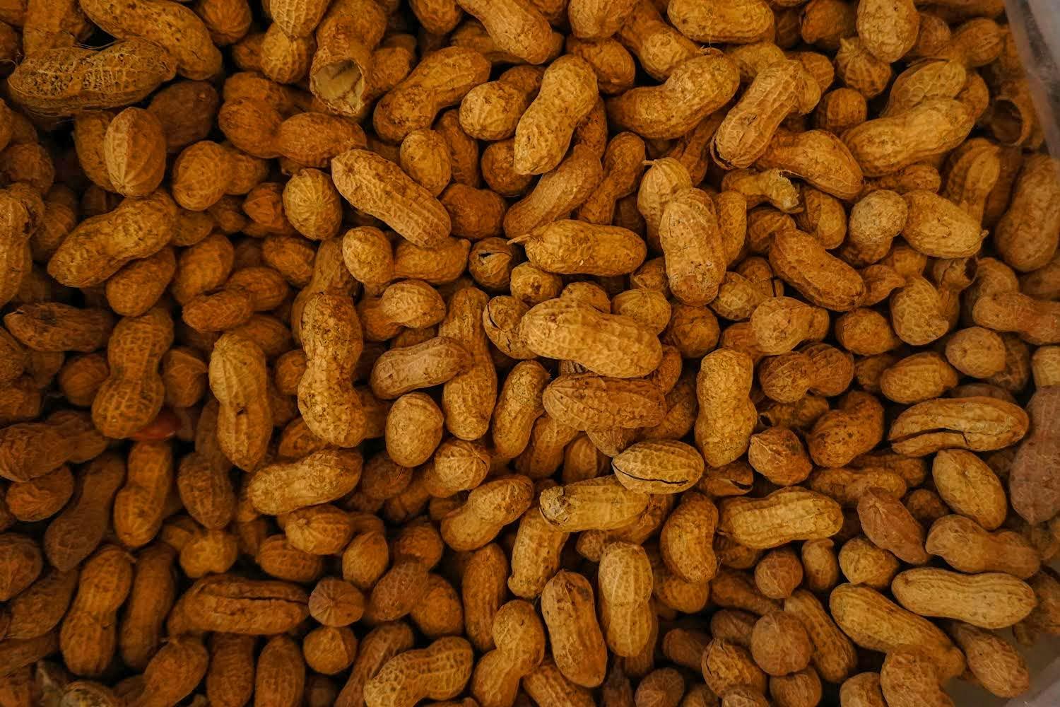 Don Poncho's Unsalted Virginia Peanuts in Shell for Squirrels Roasted Premium USA Grown