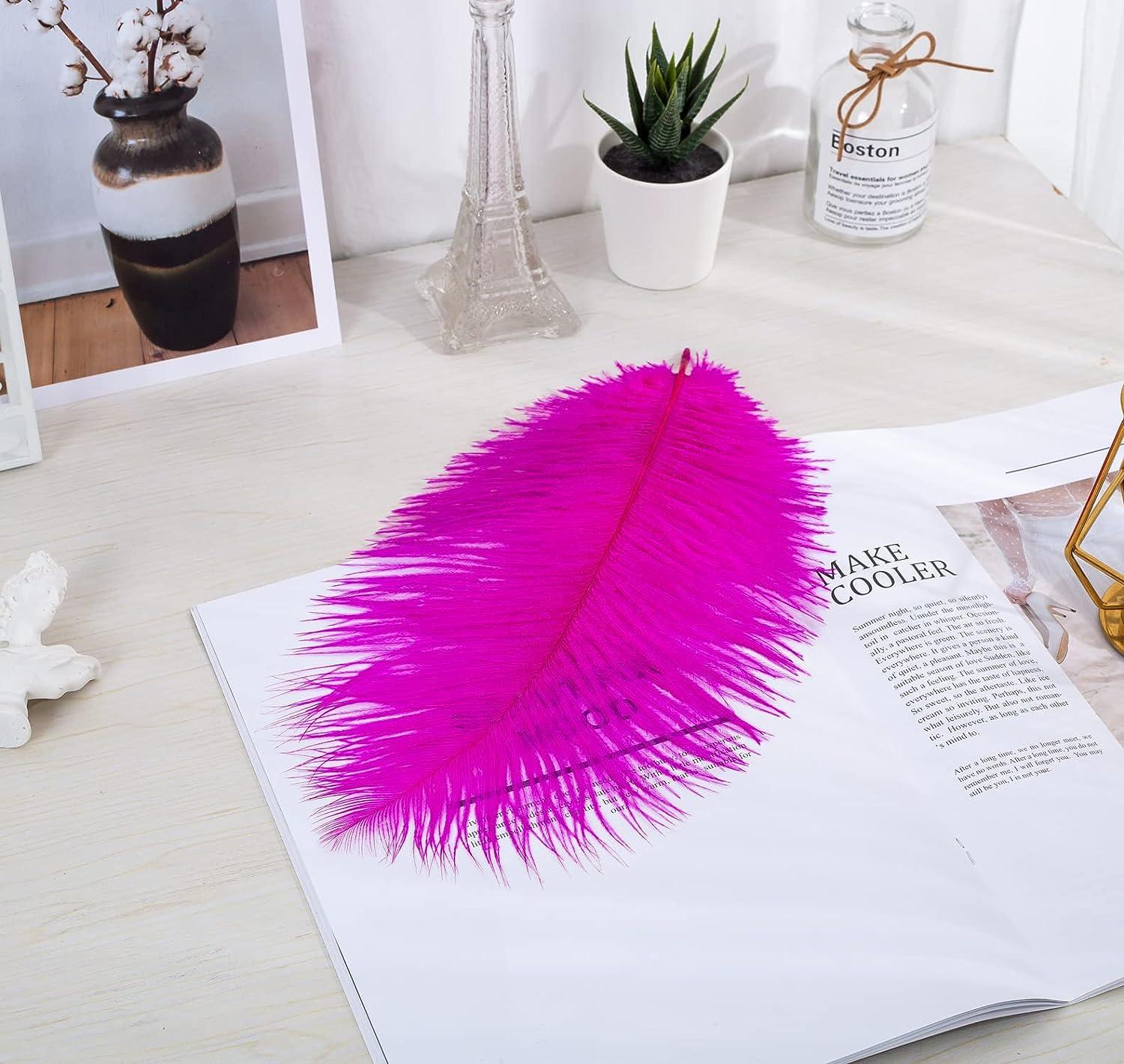 Zamplinka 12pcs Natural Ostrich Feathers 12-14inch (30-35cm) for