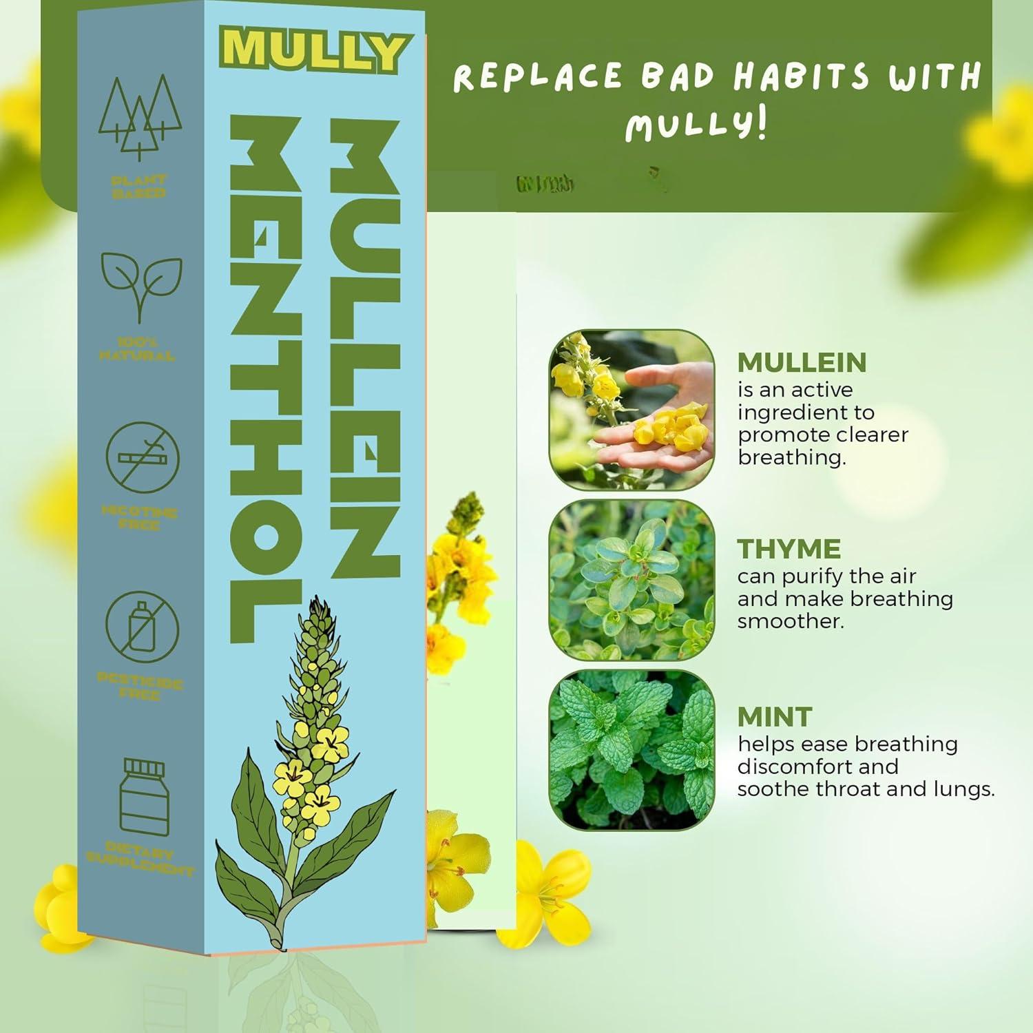 Mullein Herbal Diffuser Pen Thyme and Menthol Smoking Alternative Replace  Bad Habit's Menthol Breathe | Buy Now with Express International Delivery |  GoSupps.com