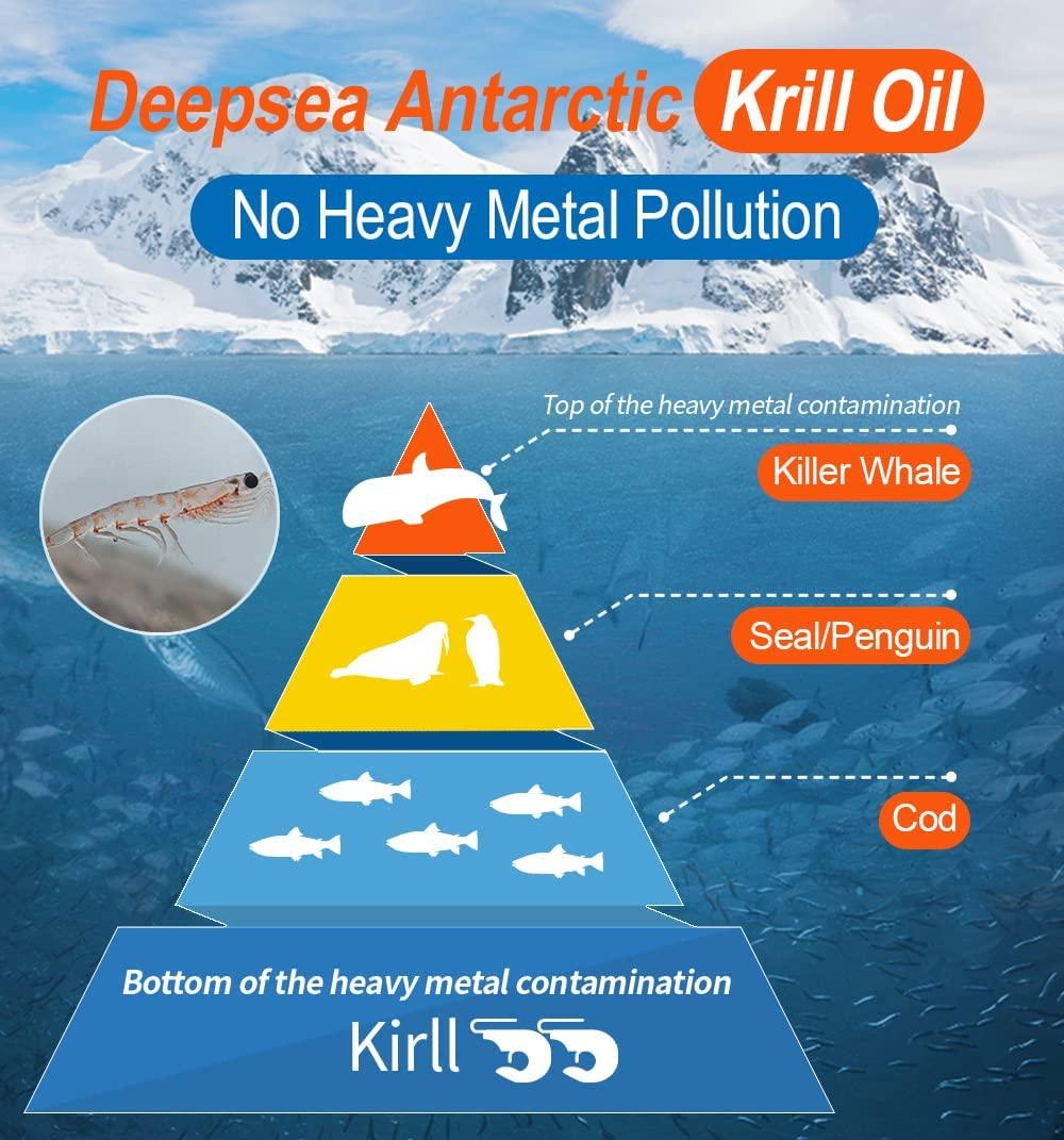 Antarctic Krill Oil Supplement with Astaxanthin 500mg Softgel Capsules Omega 3 EPA DHA Fish