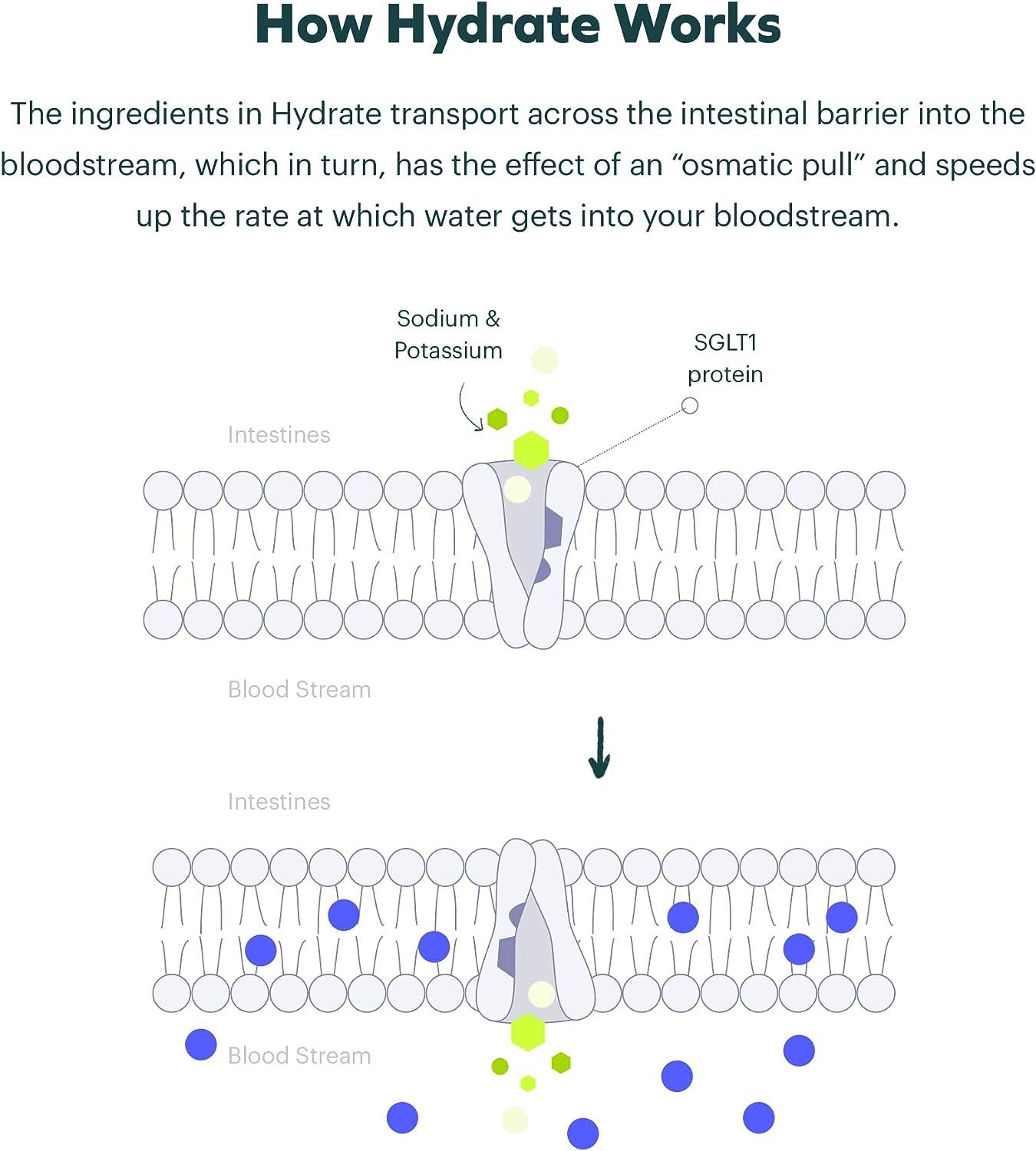Cheers Classic Combo Restore + Hydrate Rehydrate & Feel Better