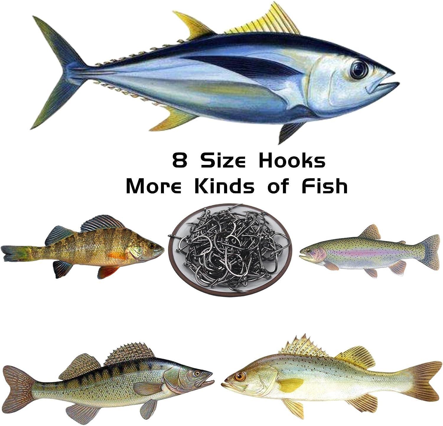 Fishing Hooks Freshwater Saltwater Fish Hooks Bulk Fishing Hooks Set Worm  Catfish Hooks Fish Gear Equipment Supplies 