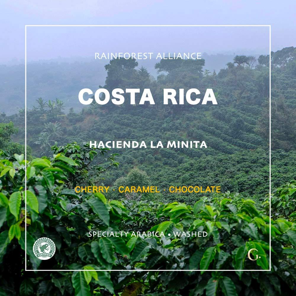 Grand Parade Coffee, 5 Lb Unroasted Green Coffee Beans Costa Rica