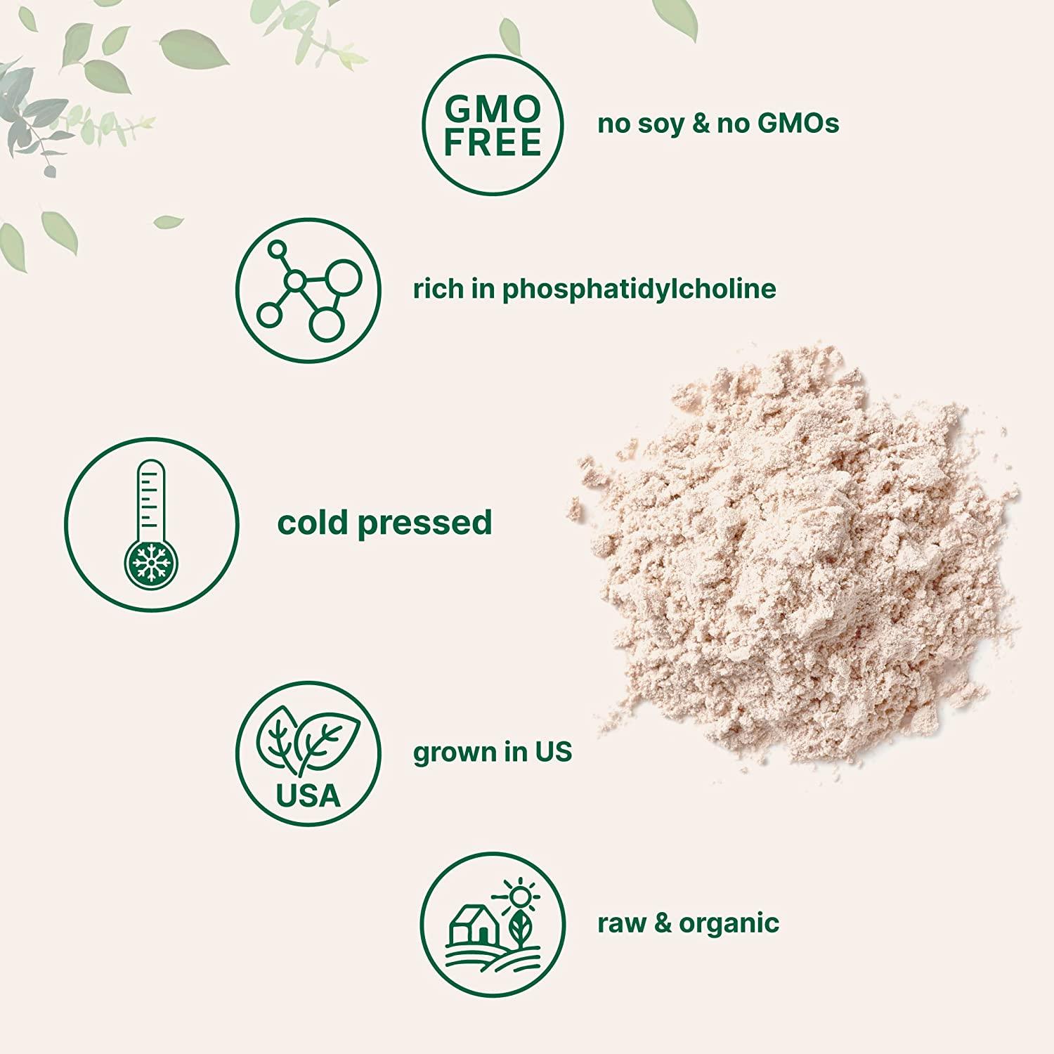 Sustainably Farmed Organic Sunflower Lecithin Powder 1lb Cold Pressed