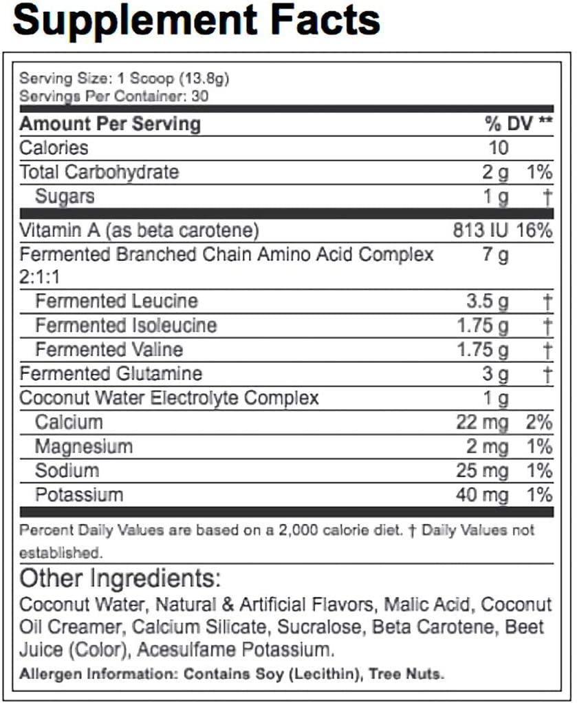 LABRADA NUTRITION BCAA Power Powder, Fermented Amino Acids with