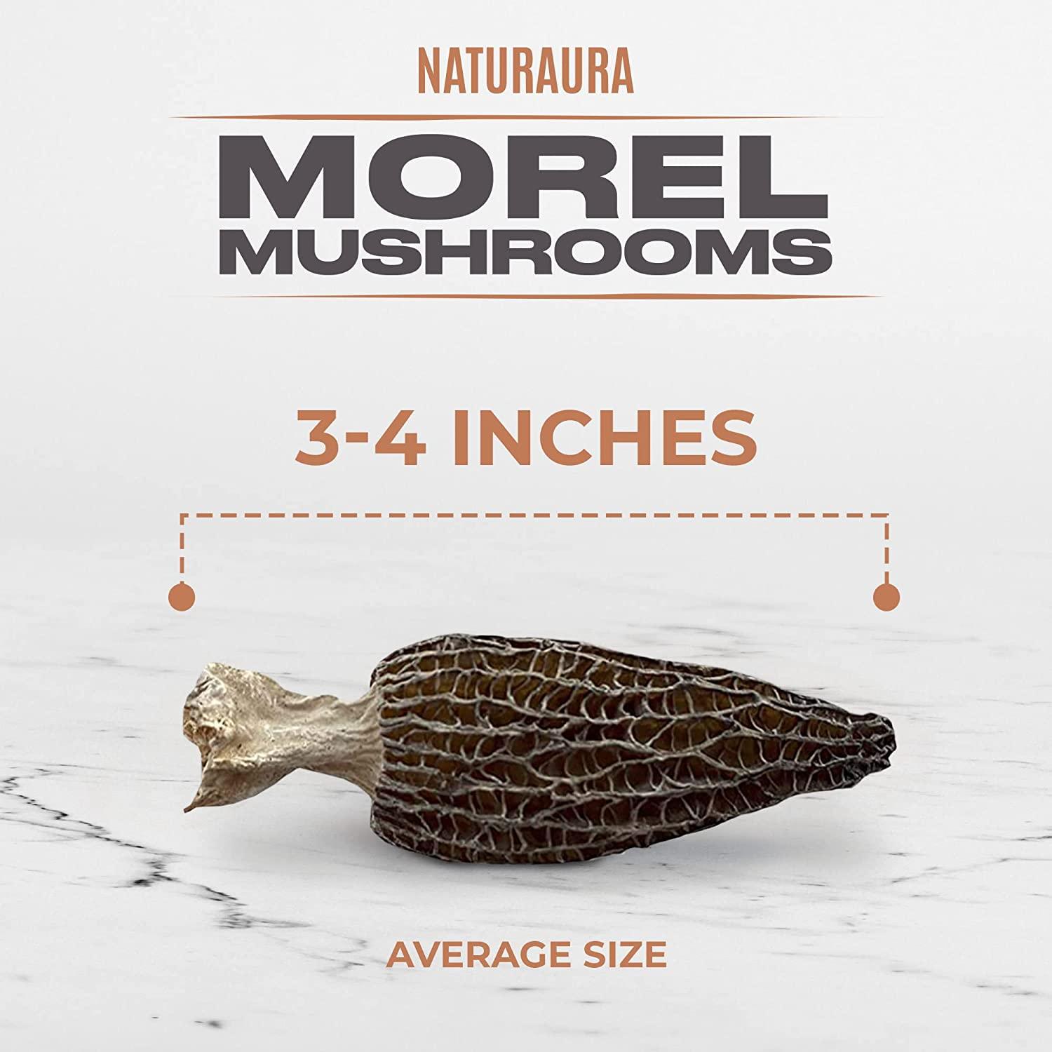 NATURAURA Dried Morel Mushrooms (Morchella Conica) Gourmet Morel