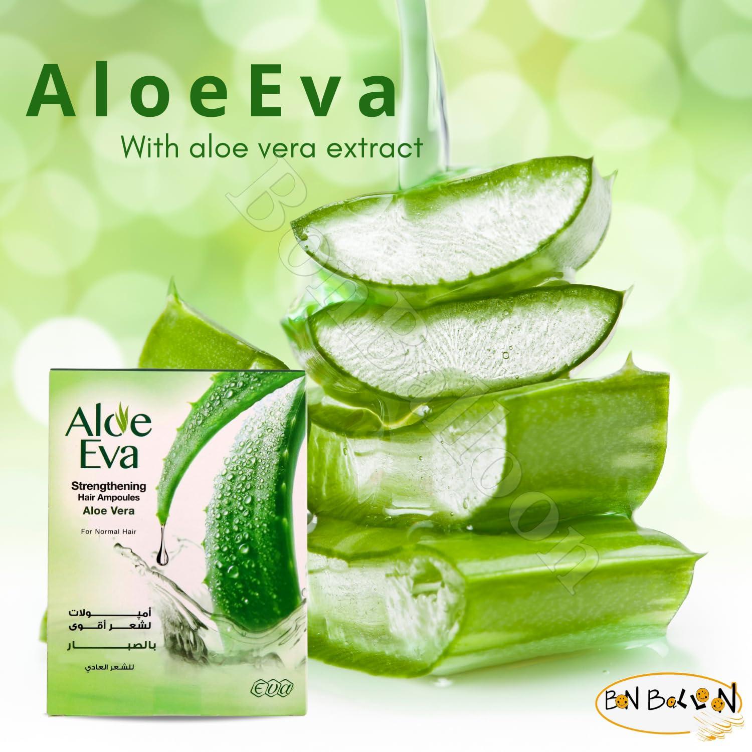 aloe vera pflanze kaufen düsseldorf Aloe Vera „Alfonso“ – Aloe-Vera-Pflanze in Gärtnerqualität kaufen main image 0