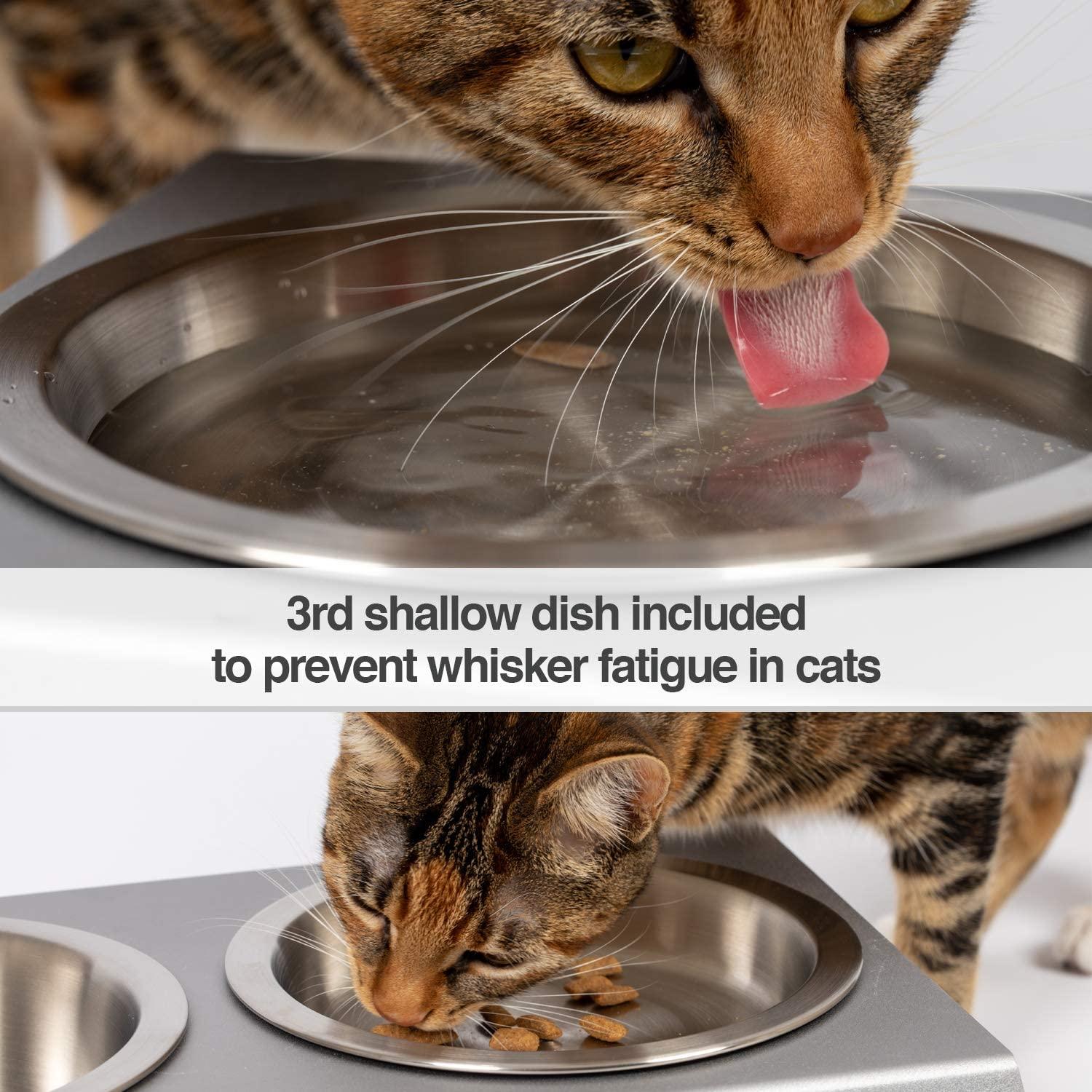 PetFusion Elevated Dog Bowls, Cat Bowls -- Premium Anodized Aluminum Feeder  (Short 4). Us Food Grade Stainless Steel Raised Bowls,Metallic Gray in  2023