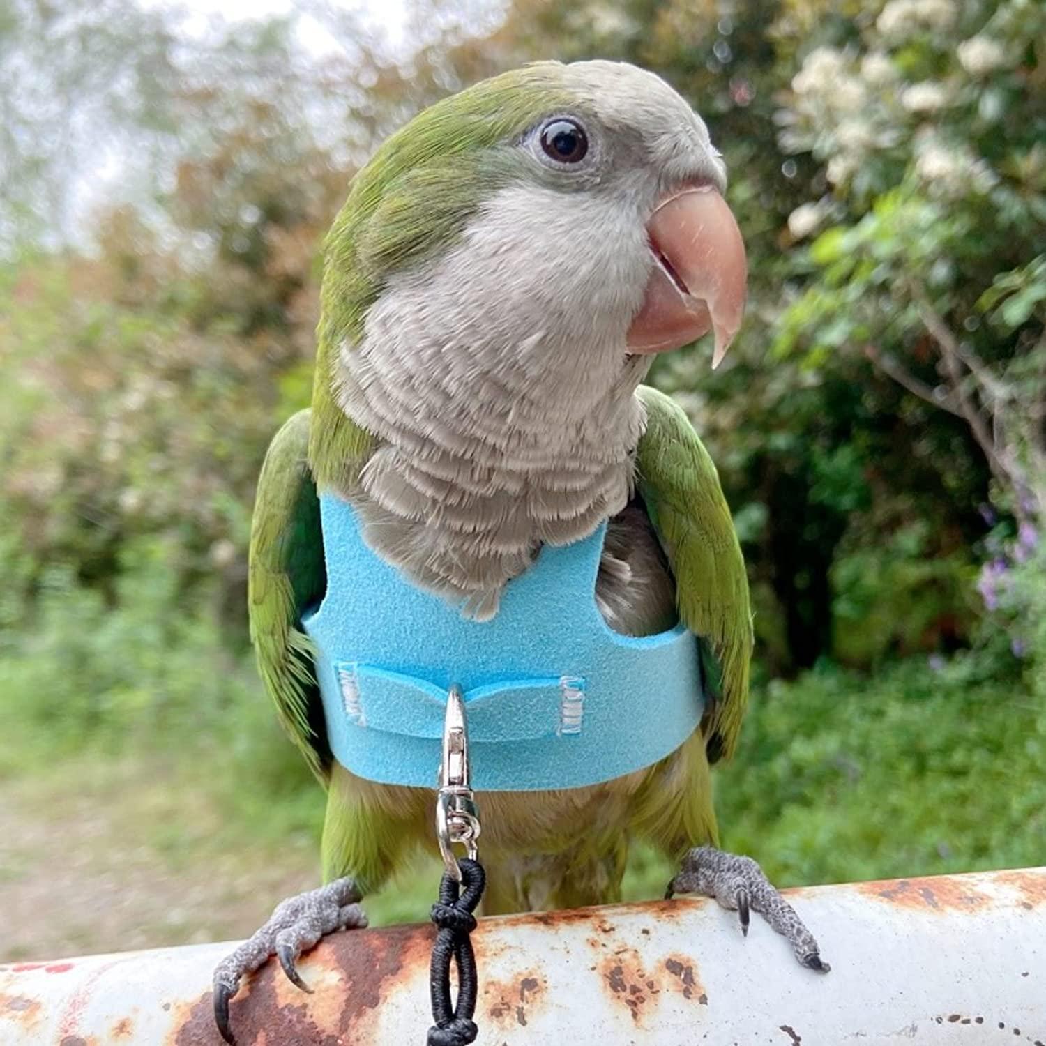 flying rope for birds Conure Harness Flying Rope Birds Bird Rope Rope Leash