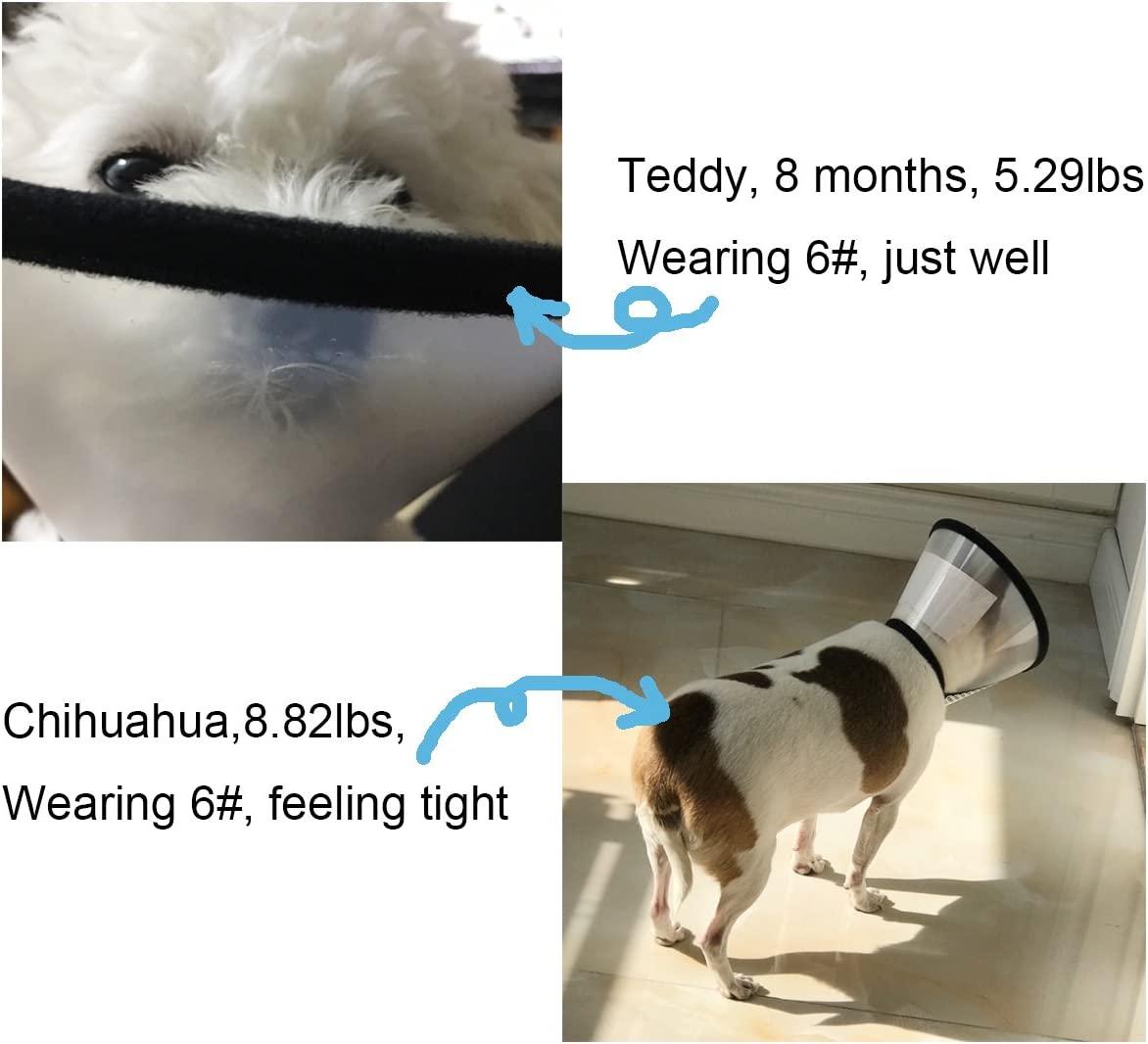 Depets Adjustable Recovery Pet Cone E Collar for Cats Puppy Rabbit