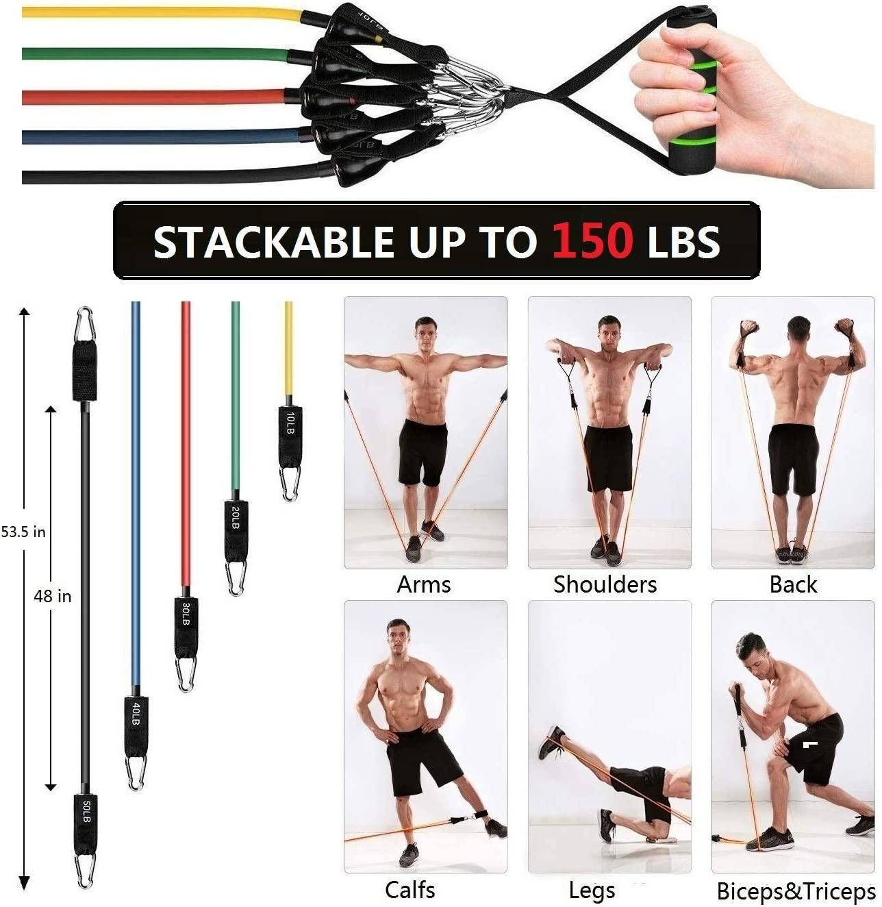 Buy Whinsy Resistance Bands Set Workout Chart for Exercise