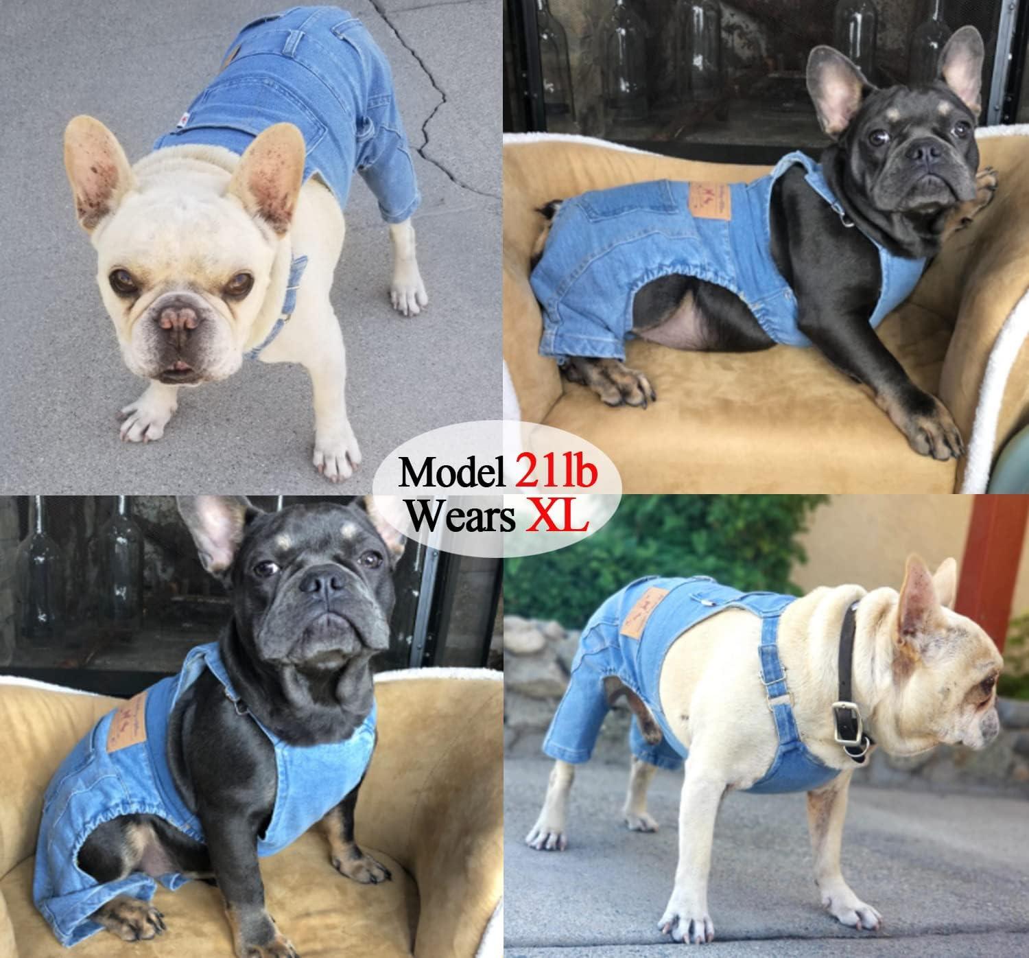 Amazon.com : Rbenxia 1 Piece of Dog Denim Shirts Puppy Jean Jacket Sling  Jumpsuit Costumes Pet Jean Overalls Dog Pants Outfits for Small Puppy Cat  Pets (Blue, Large) : Pet Supplies