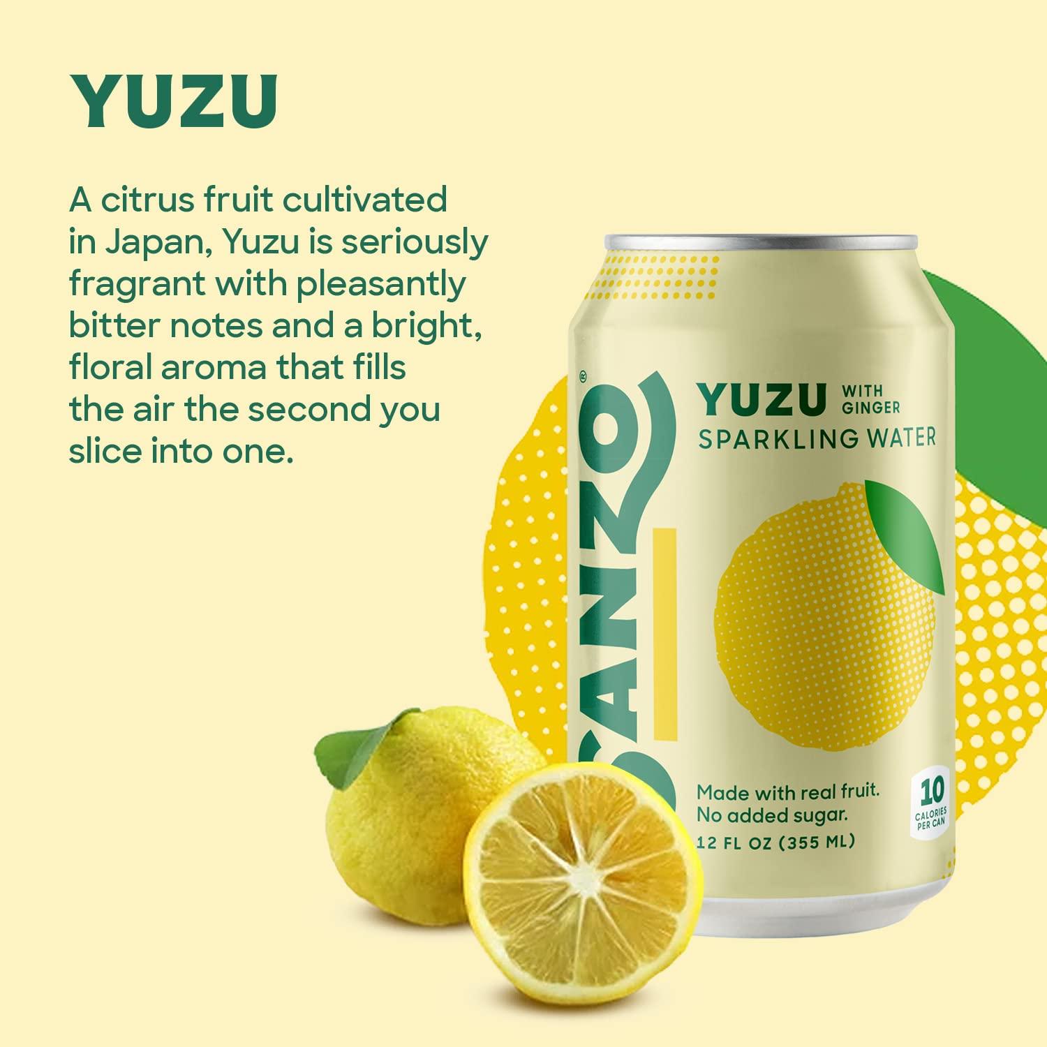 ゆずLemon Sanzo Yuzu Lemon Sparkling Water 12-Pack - Real Fruit, Sugar