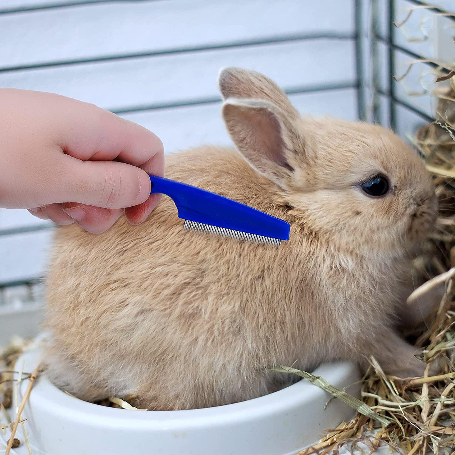 Bunny Grooming Kit Rabbit Brush, Hair Remover, Nail Clipper, Comb
