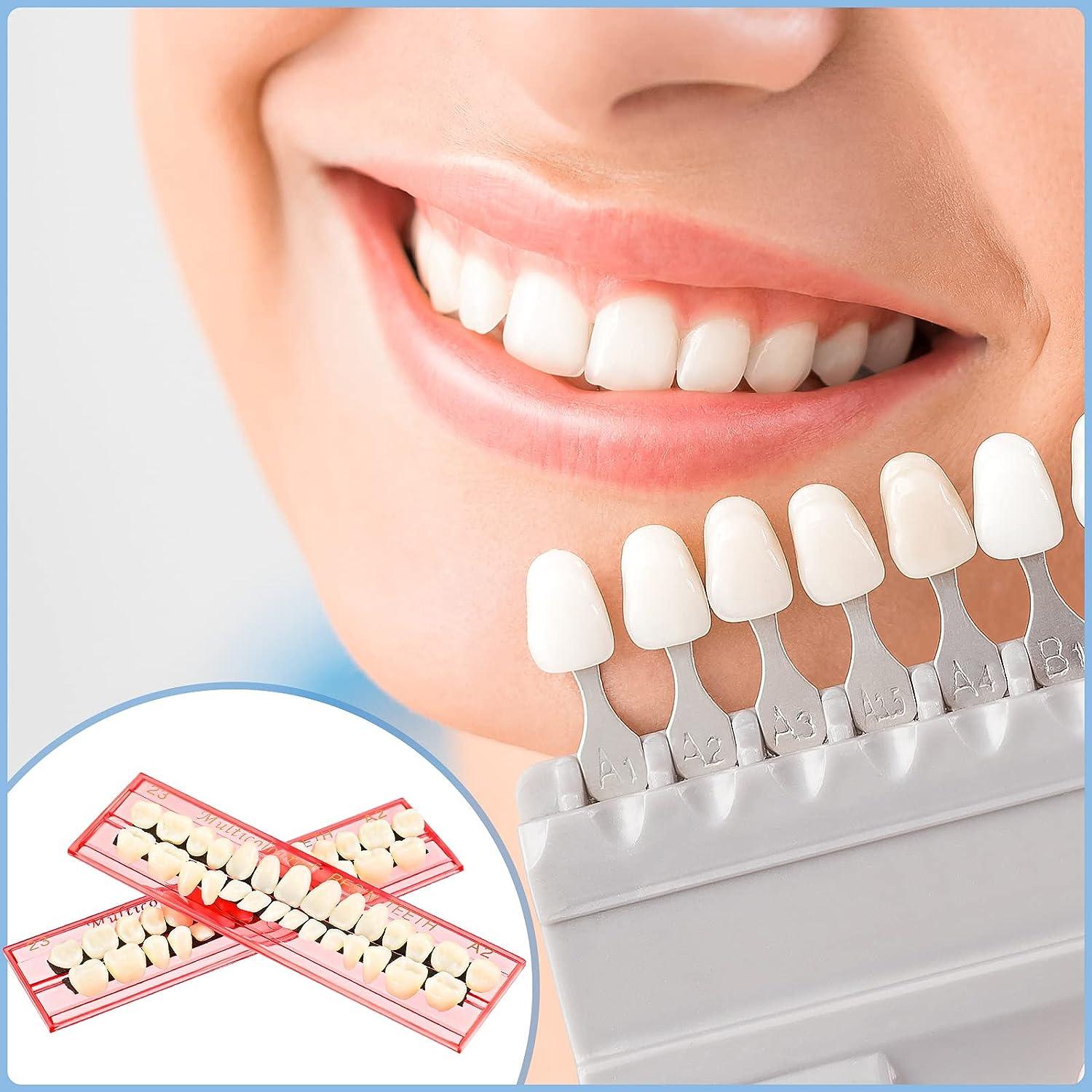 56 Pieces Synthetic Dental Acrylic Resin Teeth 50g Solid Temp