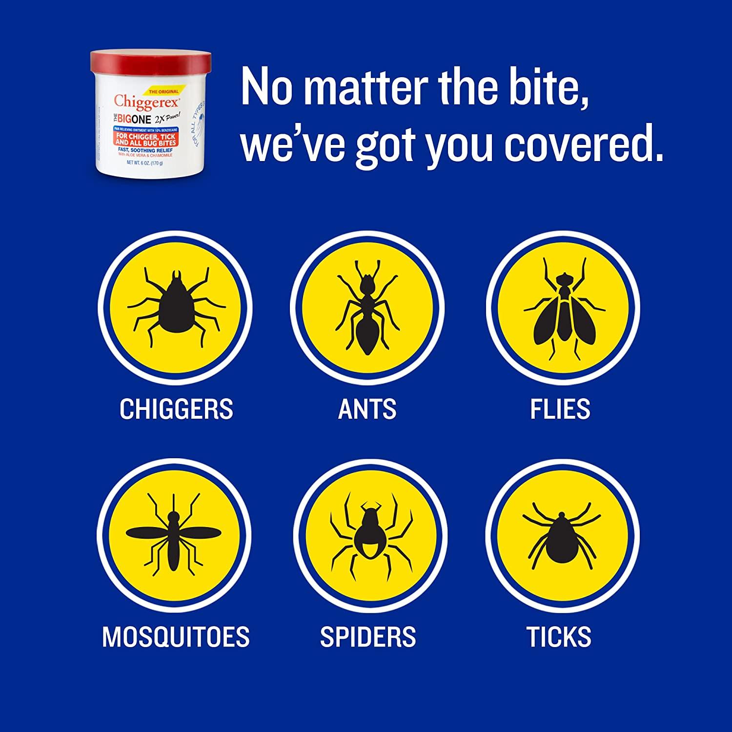 Chiggerex 2X Power First Aid Ointment Bug Bite Relief with Aloe & Chamomile 6 oz