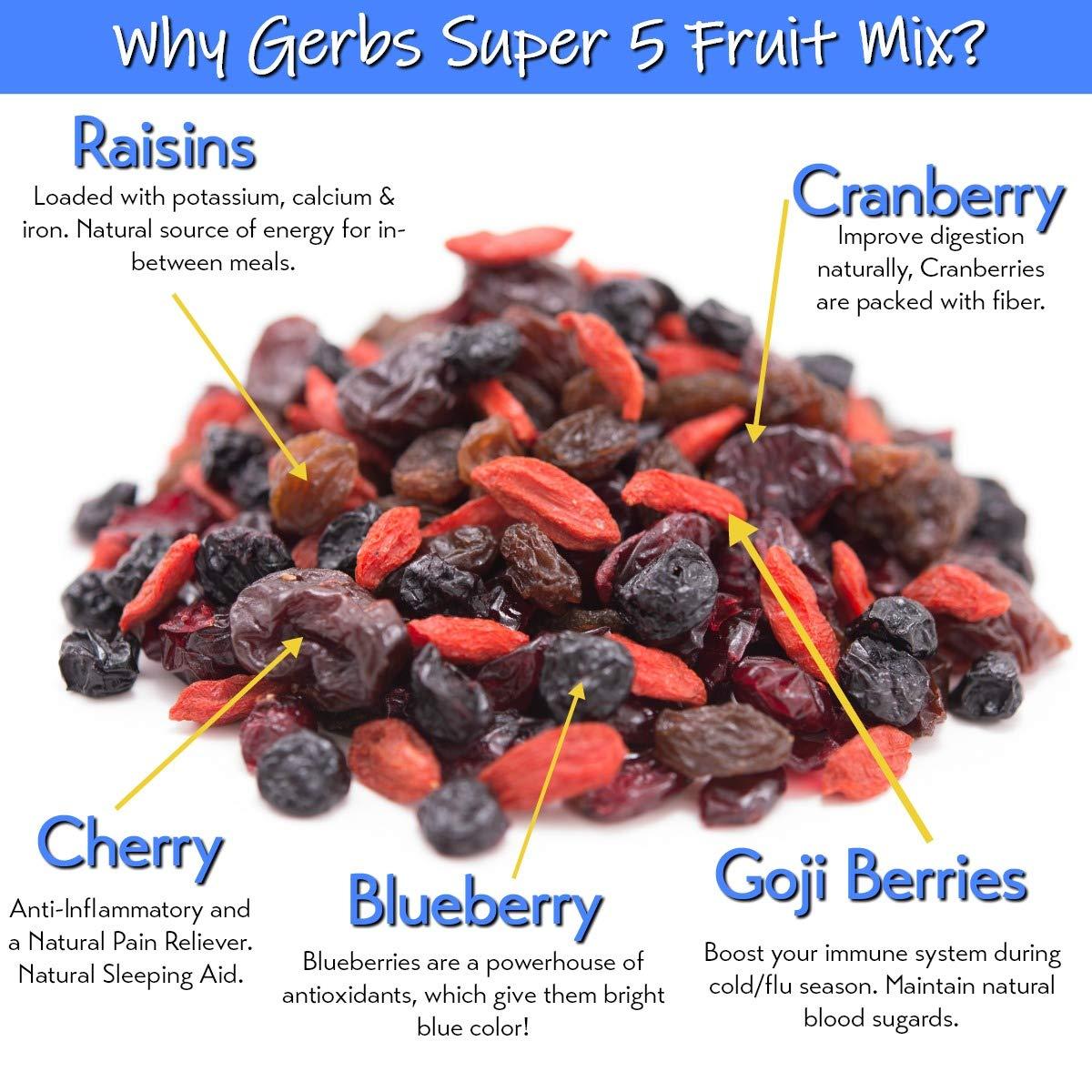 GERBS Super 5 Dried Fruit Snack Mix 2 LBS Top 14 Allergen Free, Made