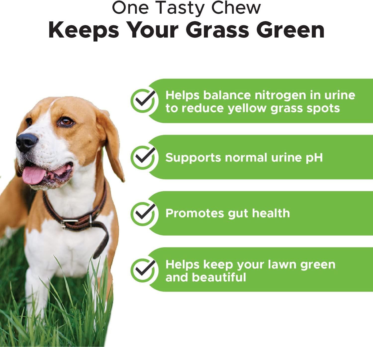 PetHonesty Grass Green Grass Burn Spot Chews for Dogs Dog Pee Lawn