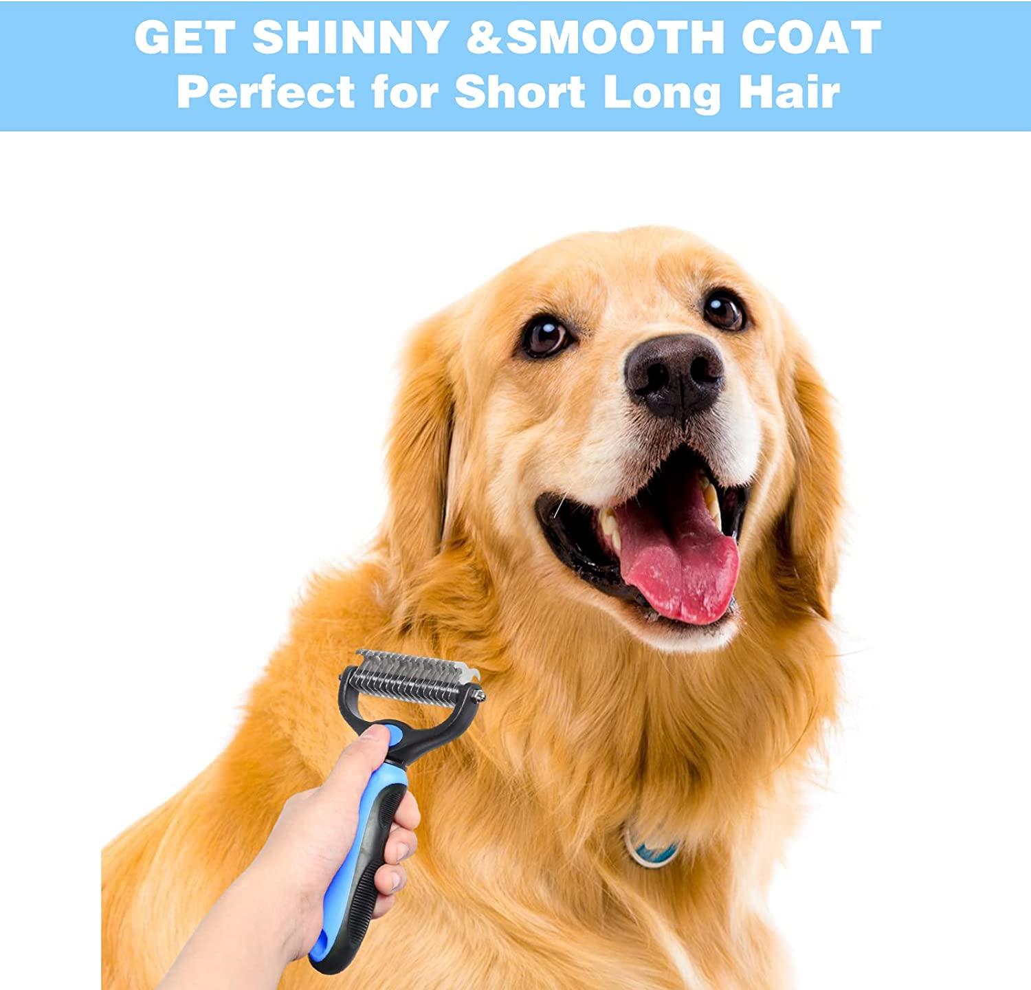What Brush To Use On A Labrador