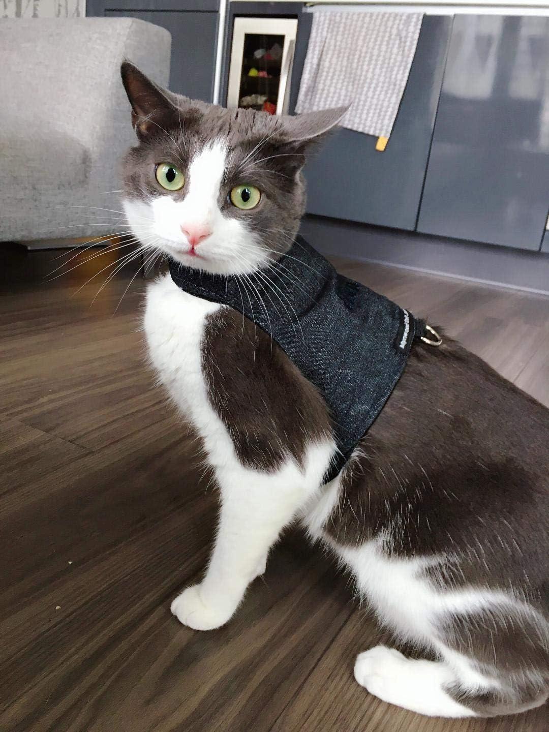 Mynwood Cat Jacket/Harness Black Denim Adult Cat black adult