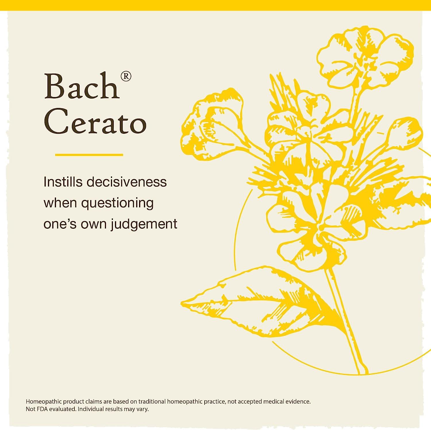 Bach Original Flower Remedies, Cerato for Trusting Intuition (Non