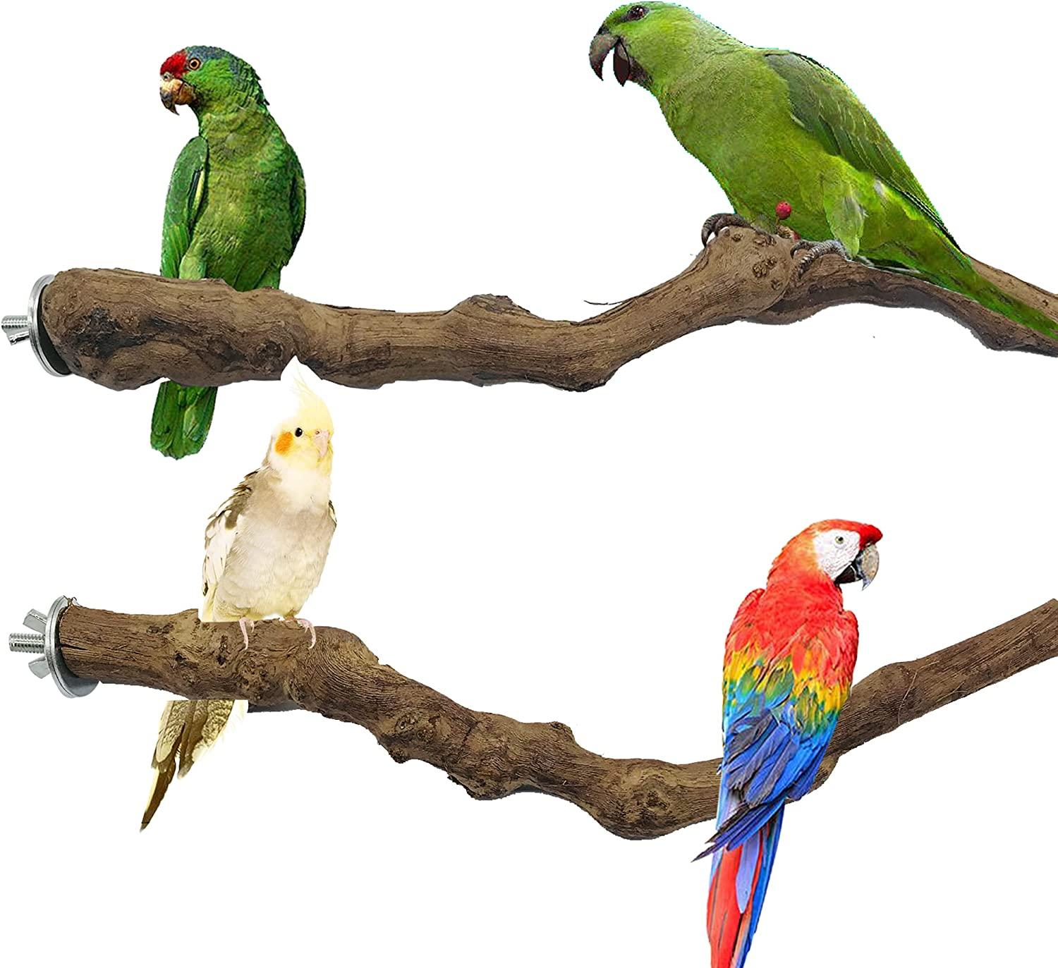 Allazone 4 PCS Natural Grape Stick Fork Bird Perch Bird Standing Stick