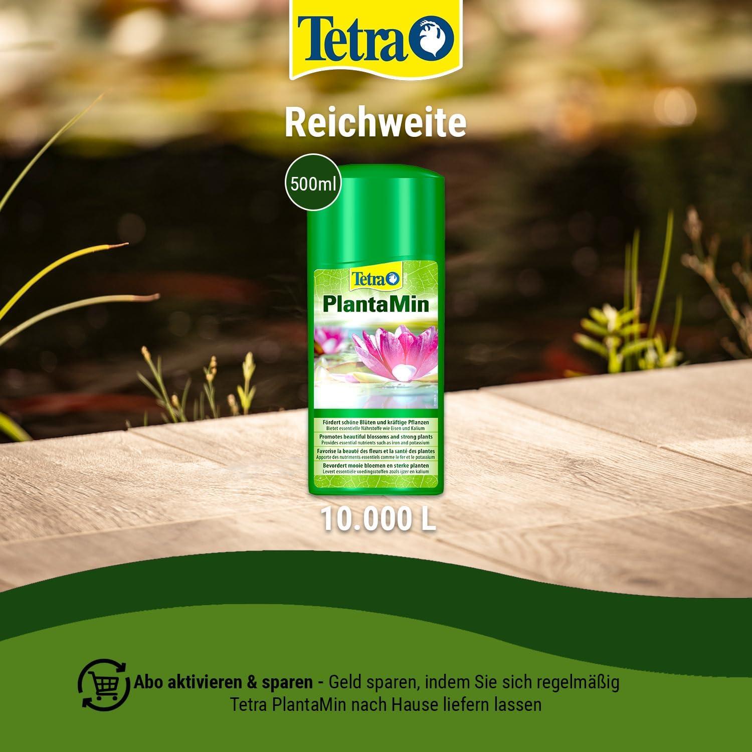 Aquarium Pflanzen Tetra Crypto Düngetabletten - Für üppige Und Gesunde  Wurzelbildung Der Wasserpflanzen Im Aquarium, 30 Tabletten Seramis Granulat  Zimmerpflanzen