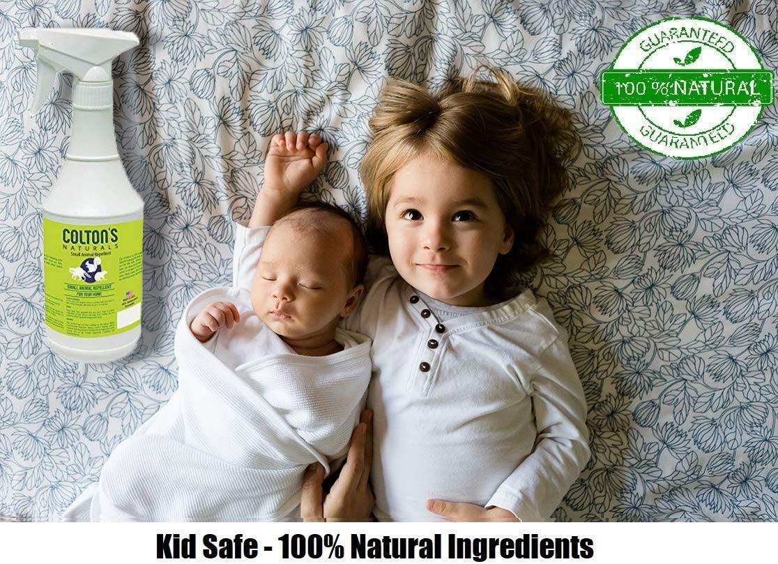 All Natural Rodent Repellent Spray- Perfect for: Racoons, Rats