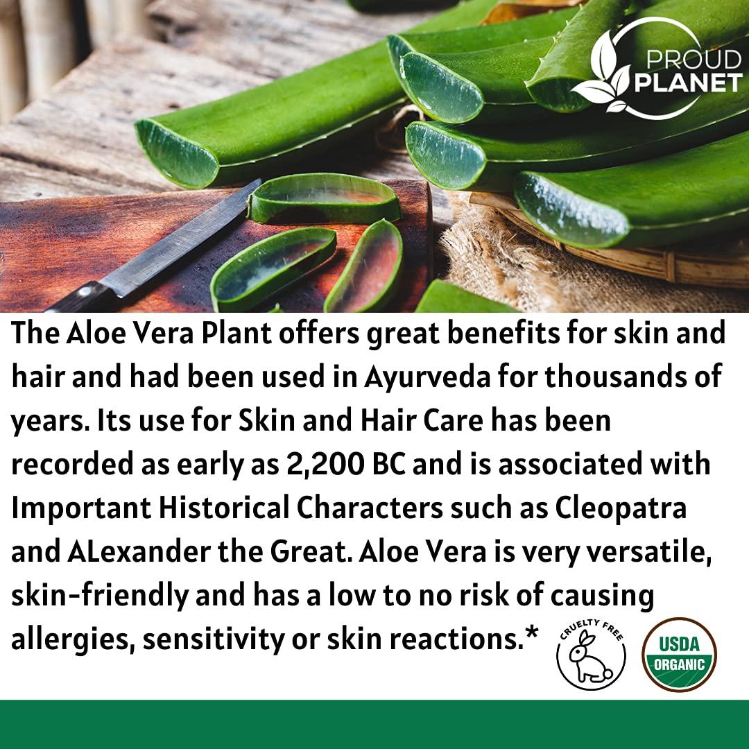 Organic Aloe Vera Powder for Hair & Face - USDA Certified Aloe Barbadensis  Extract by Proud Planet (8oz)