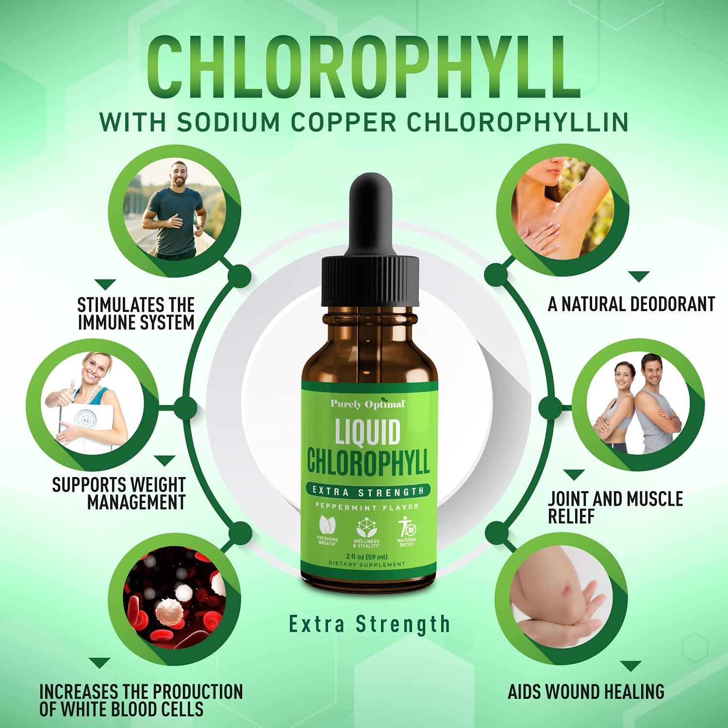 Premium Chlorophyll Liquid Drops 100 Natural & Gluten Free Liquid