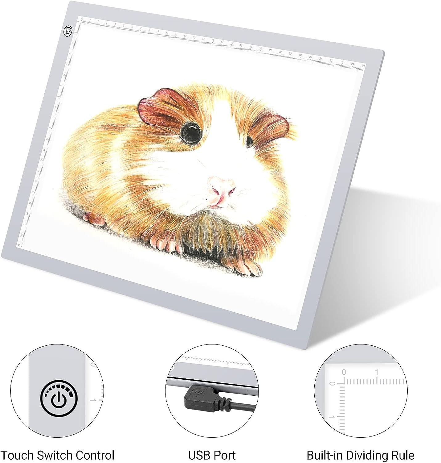 RTjoy A4 LED Light Tracing Box Pad, Adjustable 9x12 Inch USB Powered Artcraft Portable Light - View #8