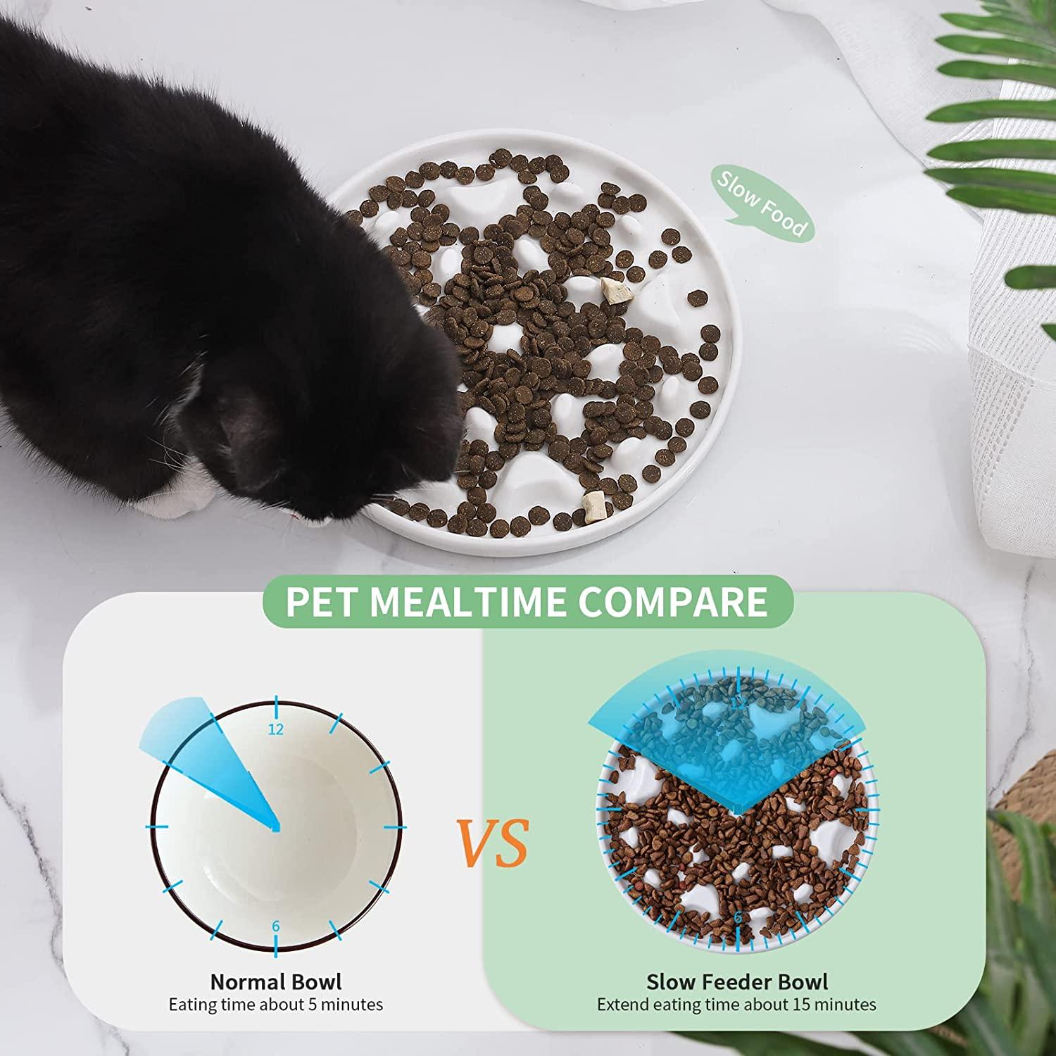 Slow Feeder Bowl for Cats and Small Dogs Ceramic Cat Puzzle Dish for