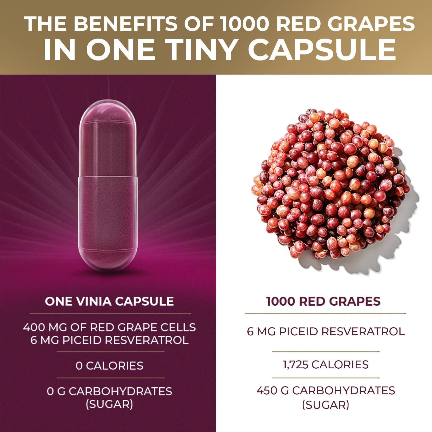 VINIA by BioHarvest Sciences Sustainably Produced 12Hour Sustained